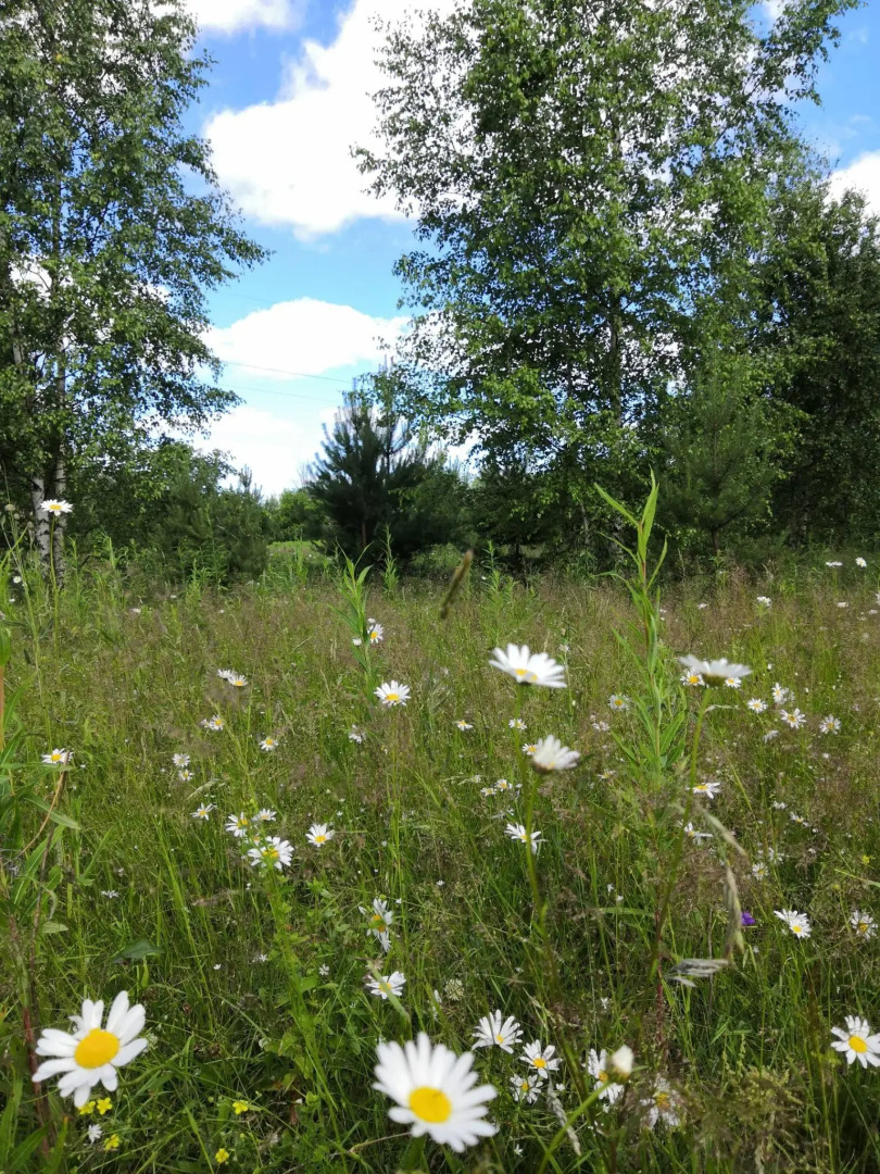 Усадьба Красивая