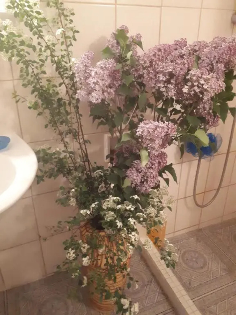 Fónagy és Walter Vendég- és Borház