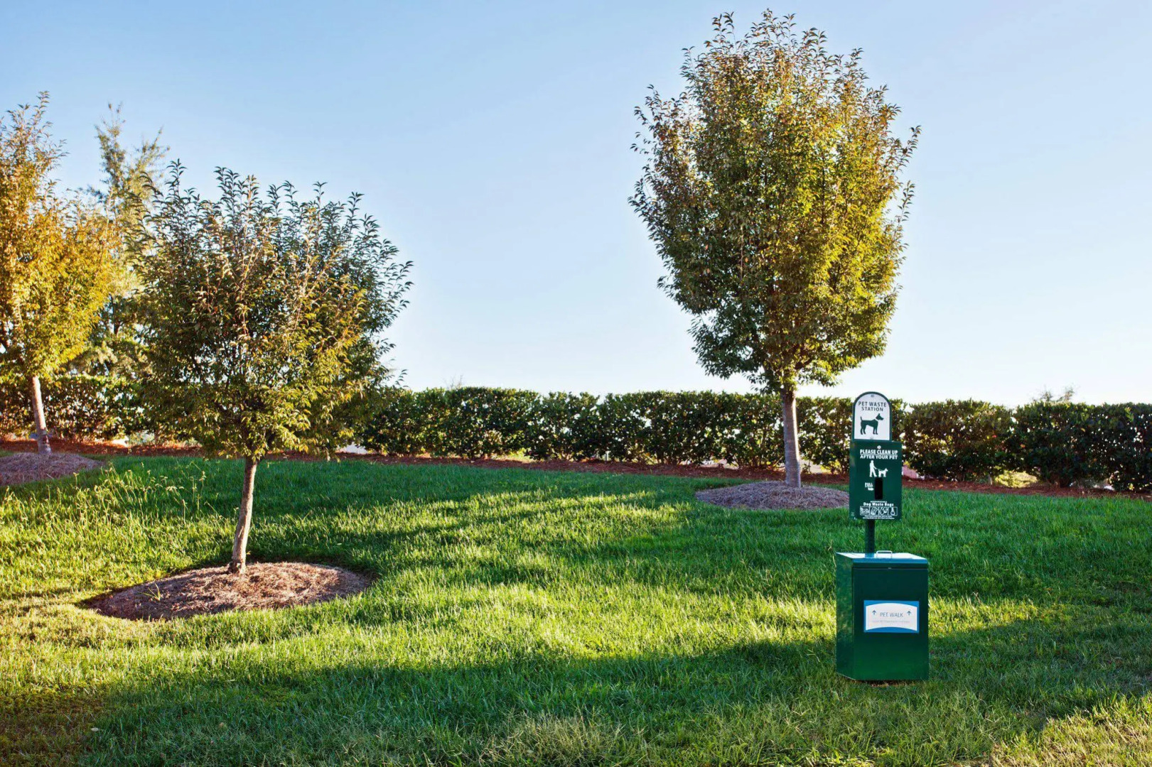 Staybridge Suites Charlotte Ballantyne by IHG