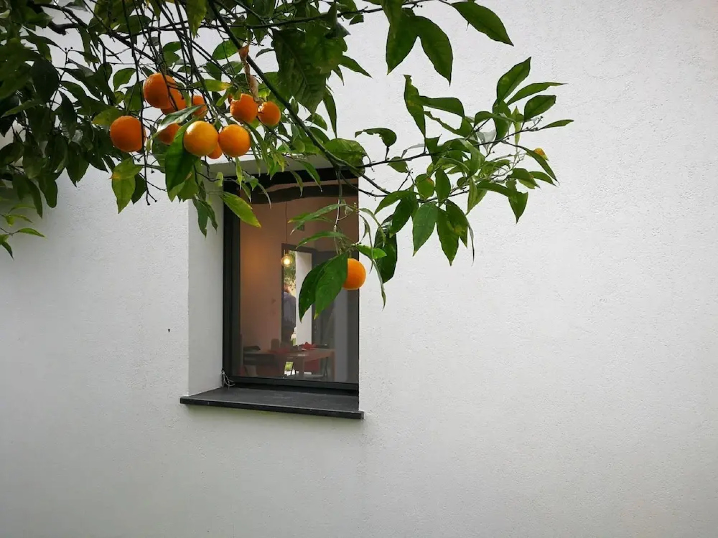 Belvilla by OYO Casa Bambu