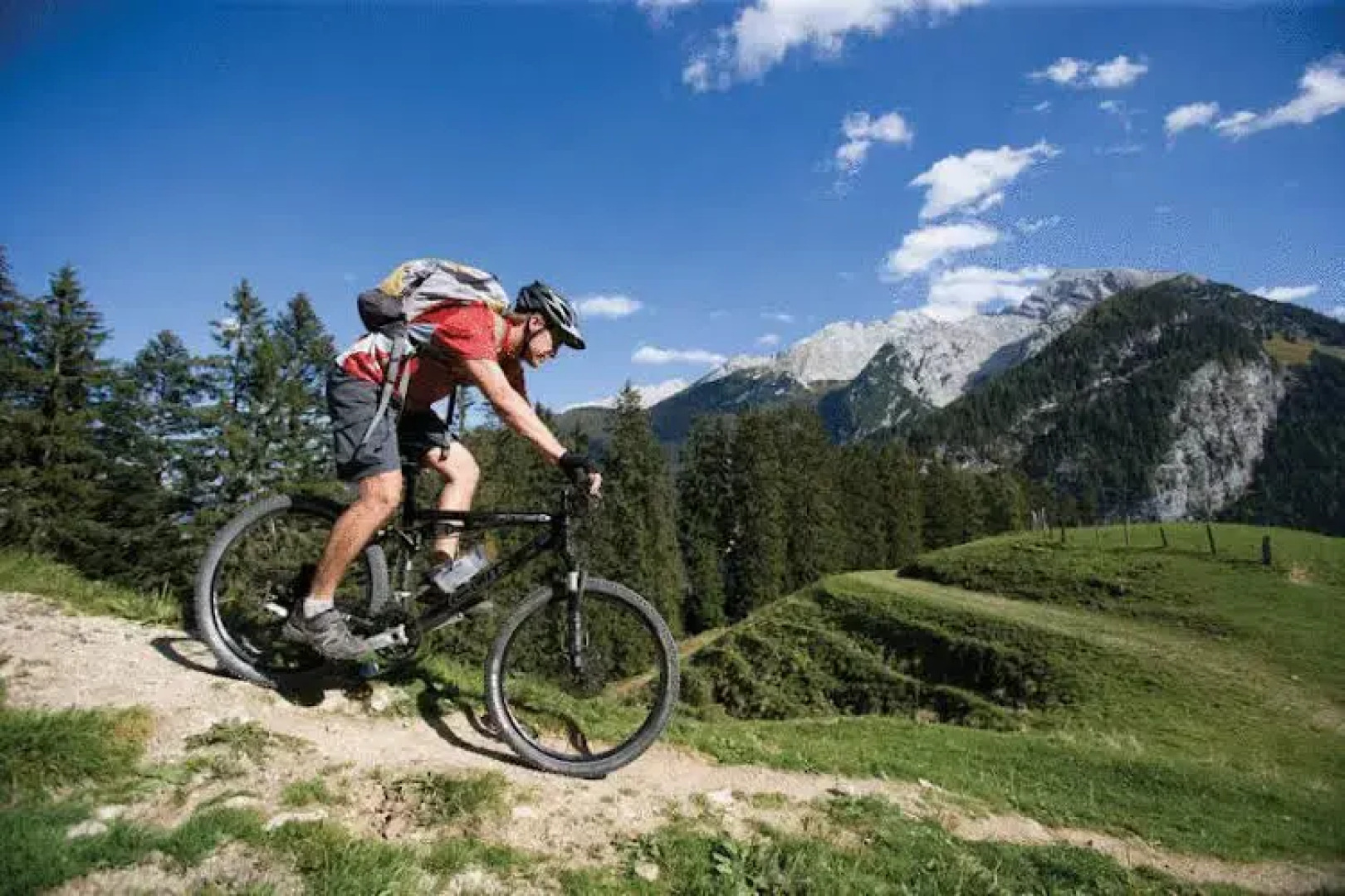 Wohlfühlgasthof Friedlwirt