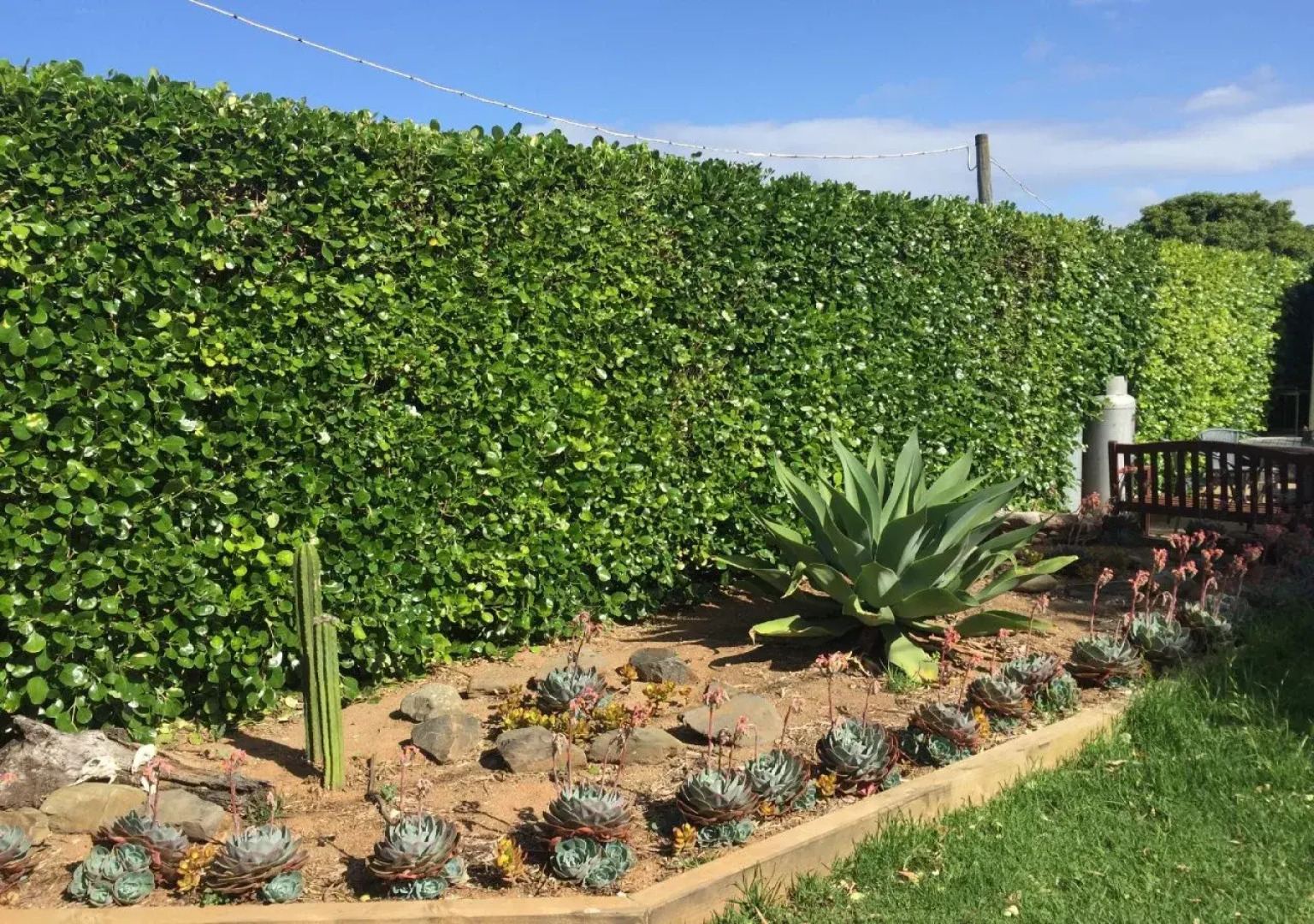 Kangaroo Island Backpackers - Hostel