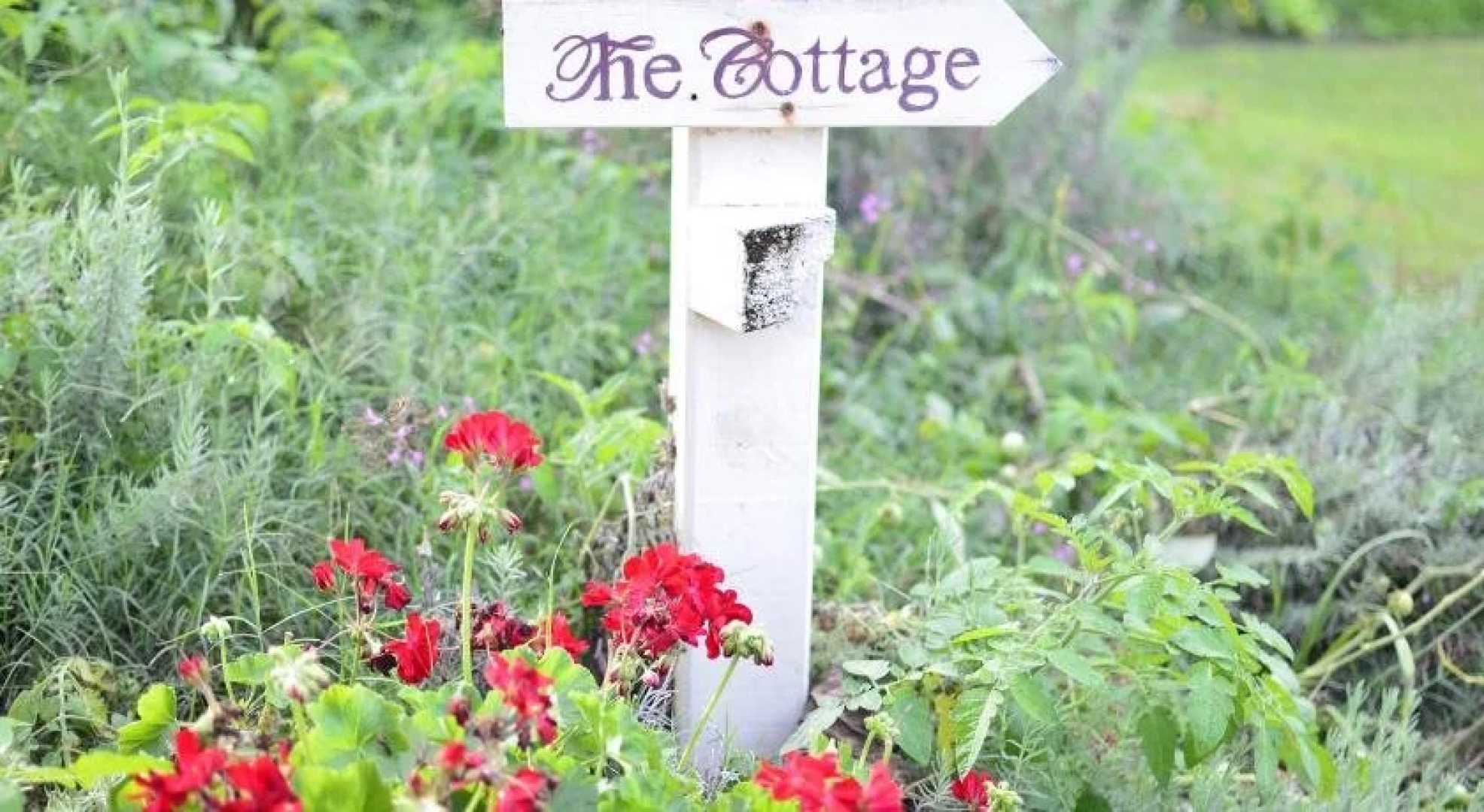 Rosevillehouse Bed & Breakfast