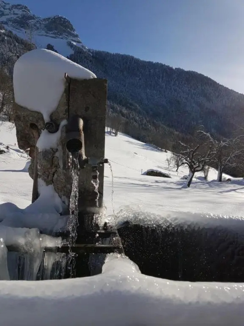 Studio Les Chanterelles