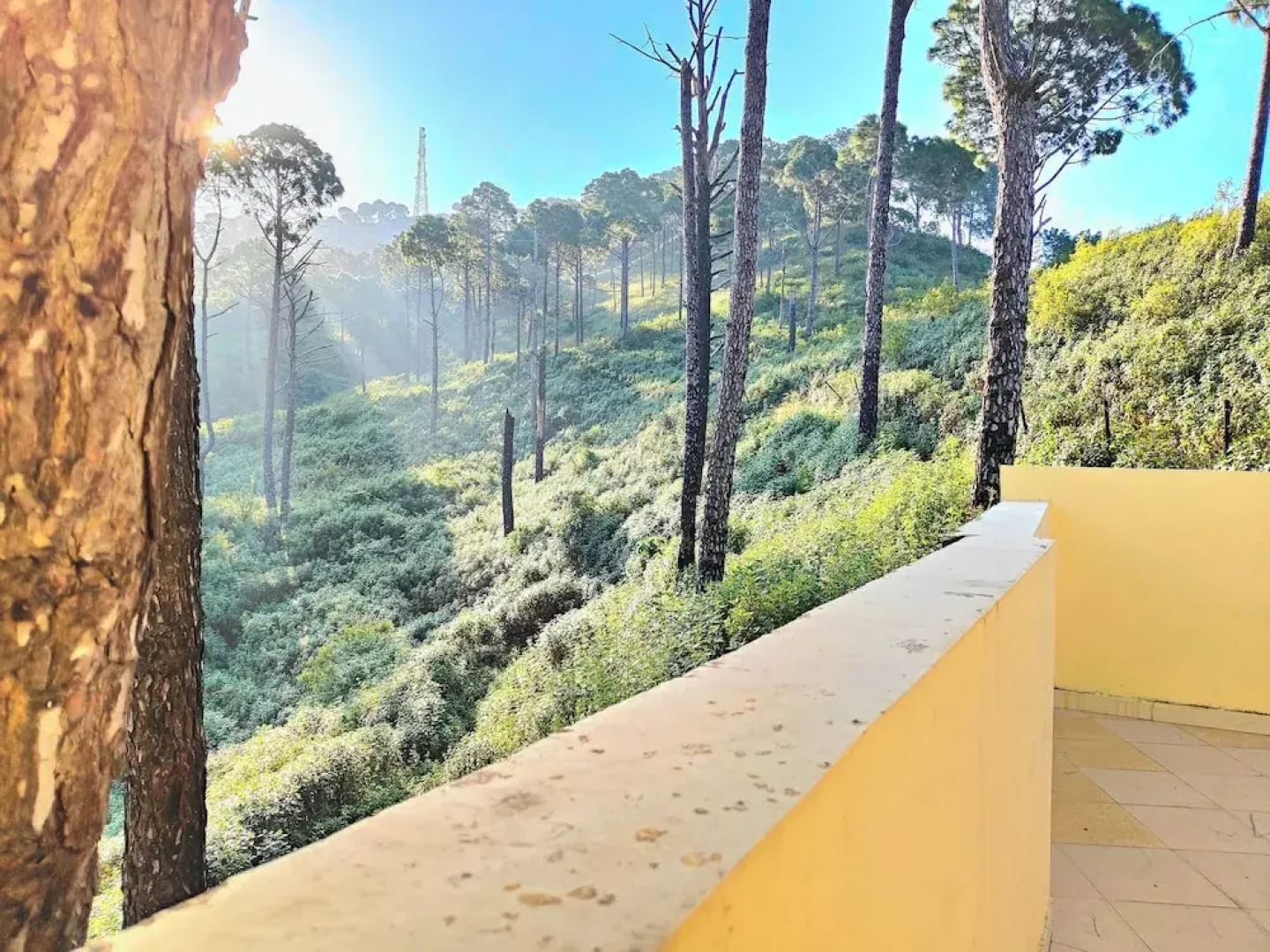 The Cloud Homestay