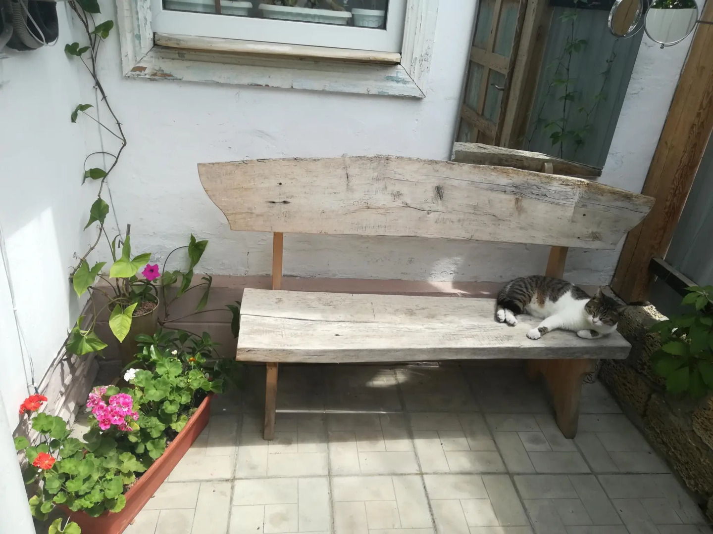 Гостевой дом Уютный