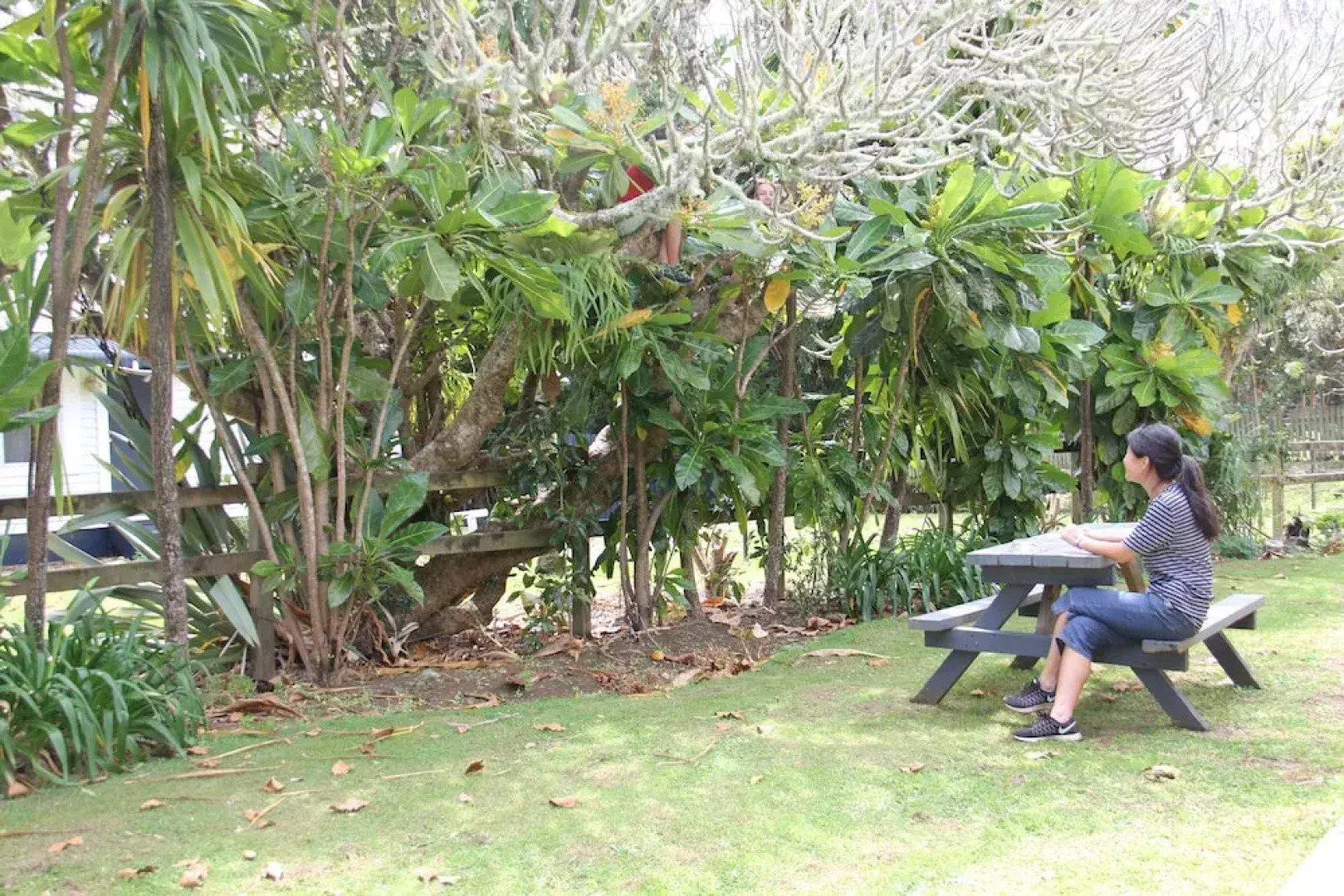 Saints Holiday Apartments