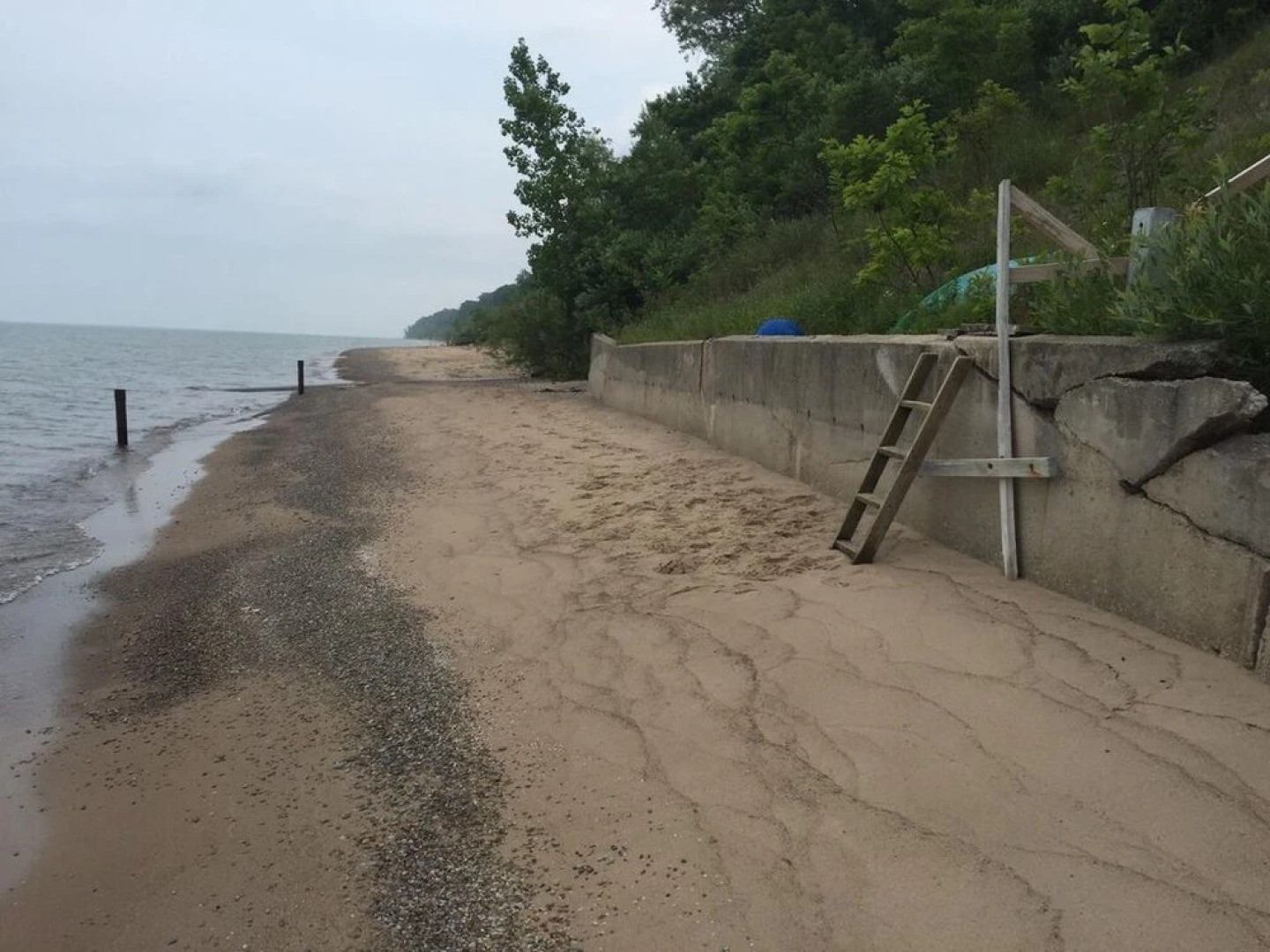 The Enchanted Cottage