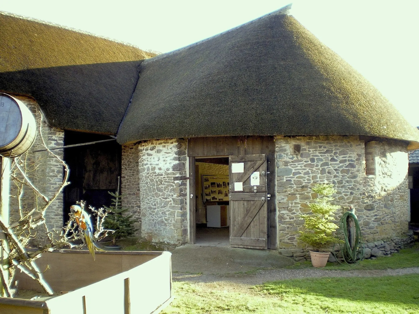 Exmoor Owl & Hawk Centre