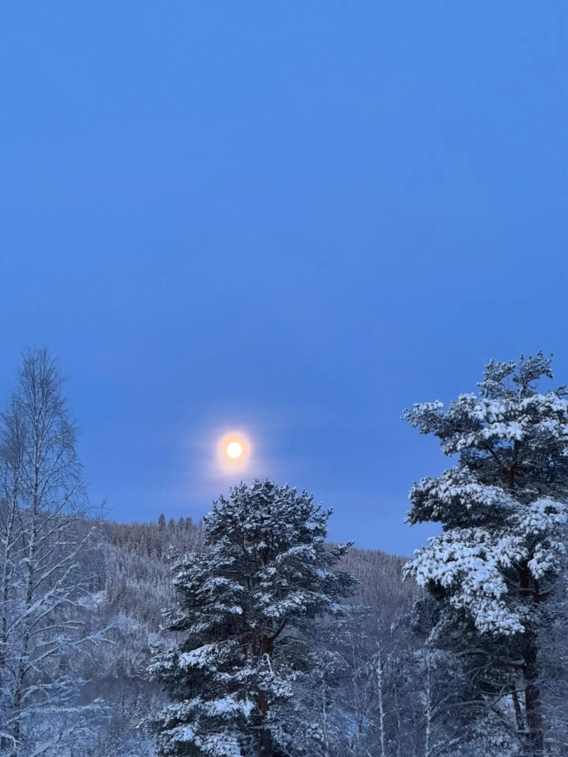 STF Sälen Torgåsgården