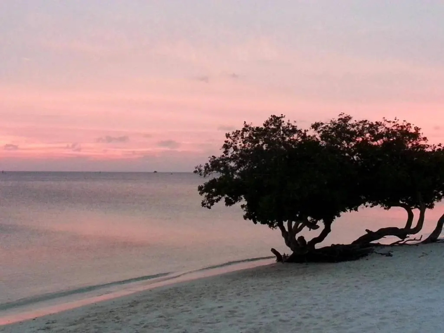 Aruba Surfside Marina