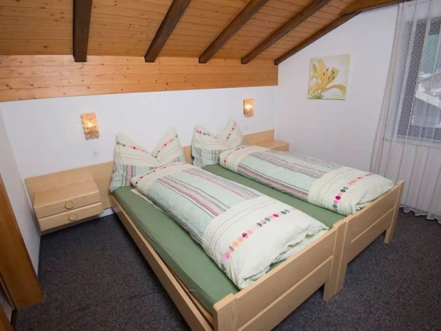 Adonis & Vallesia 30945