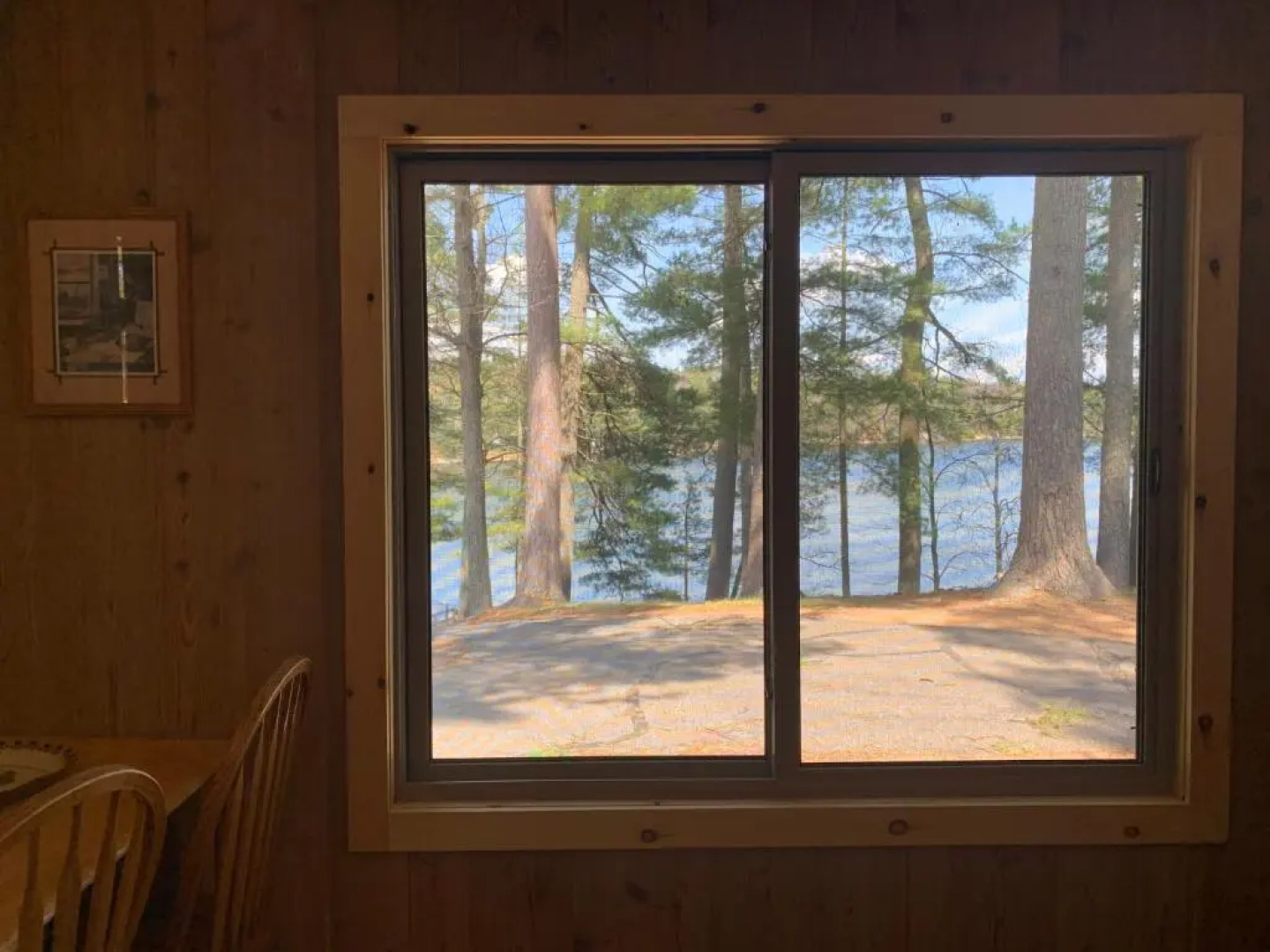 Black Bear Lodge Bear Trap #3