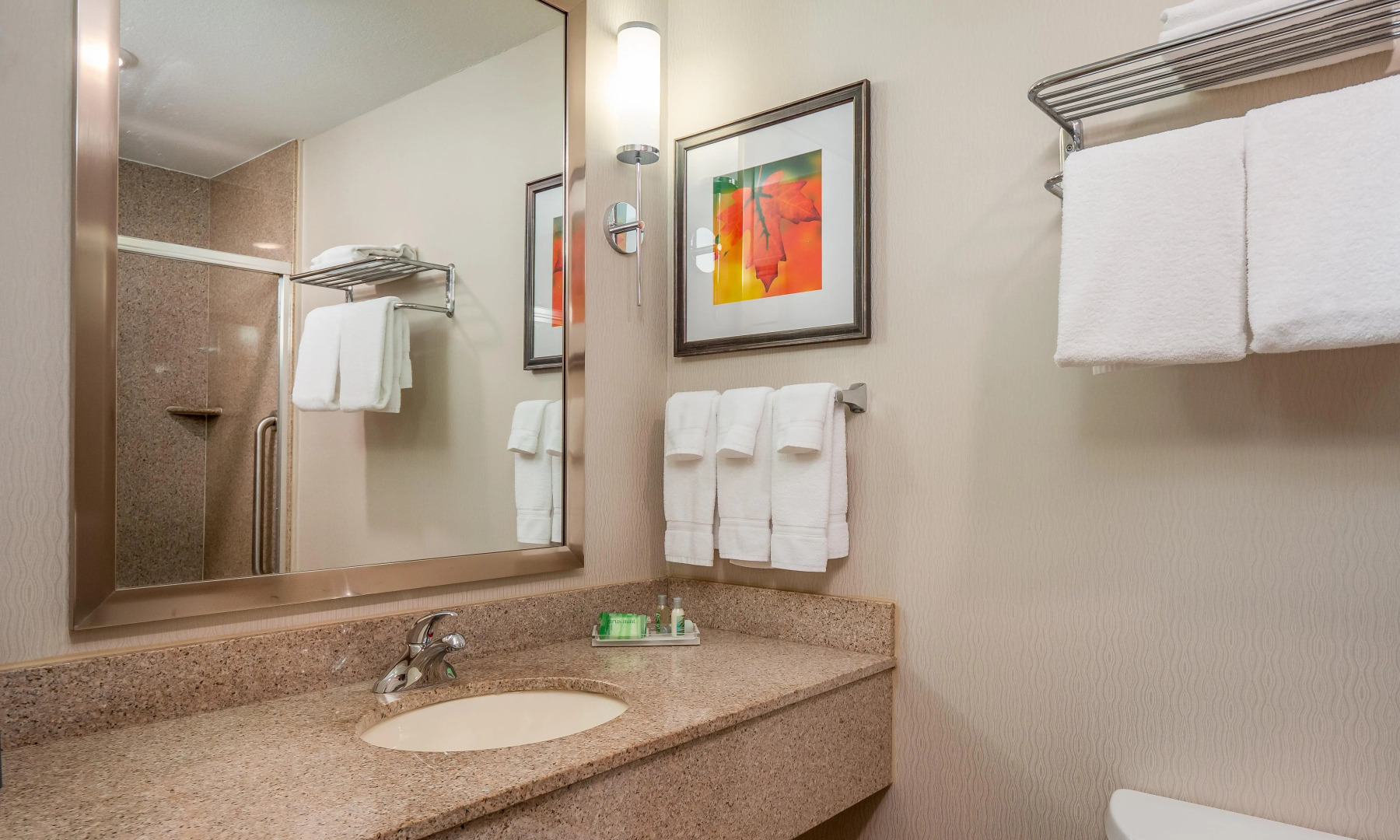 Holiday Inn Stevens Point - Convention Ctr by IHG