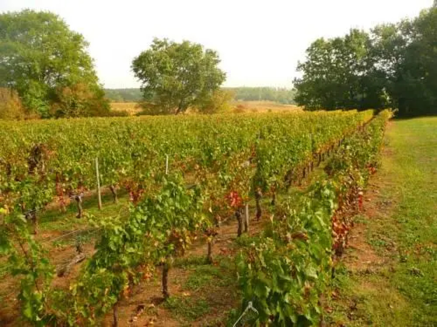 Chateau Galot la Chapelle