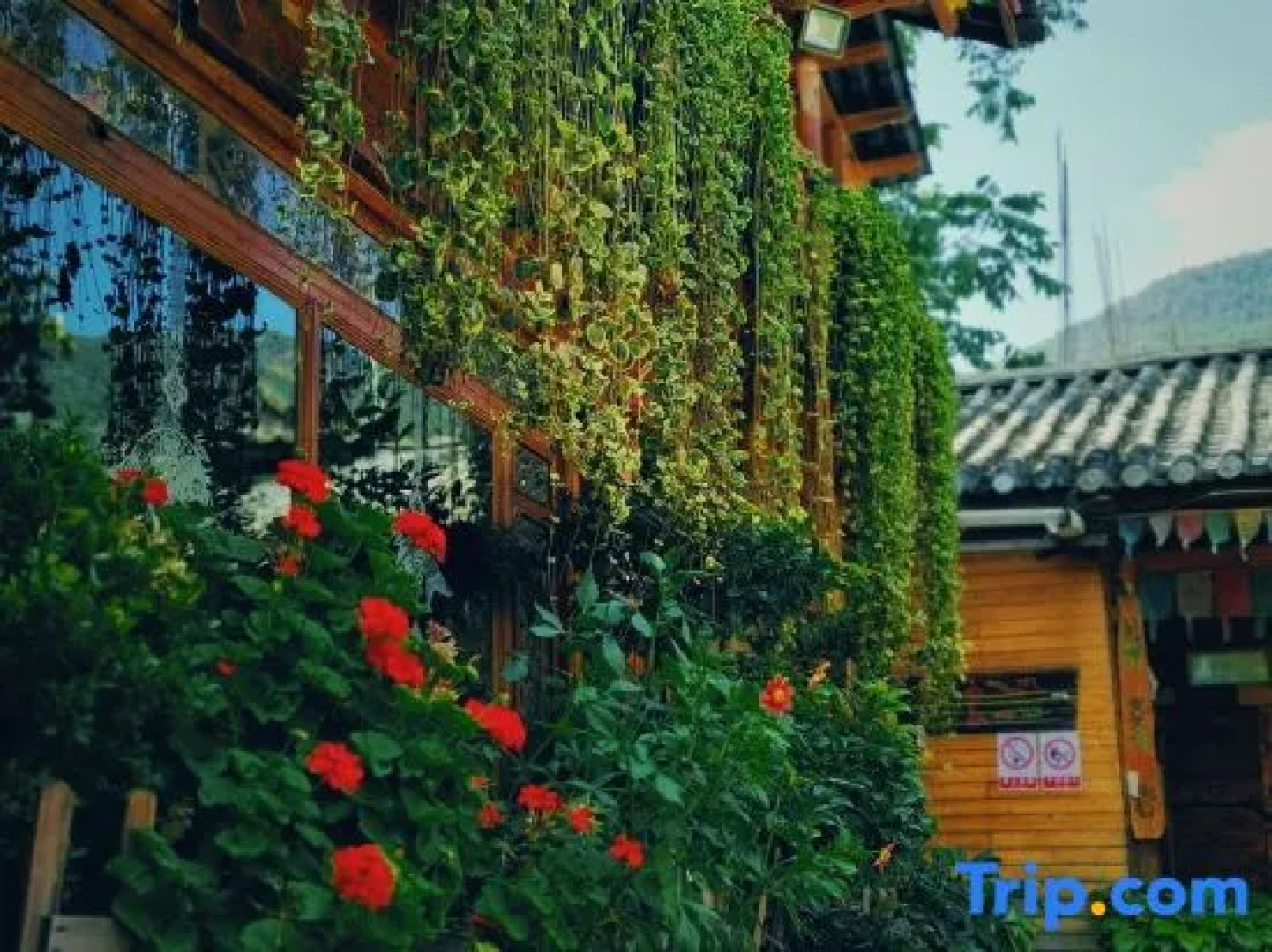 Qiuniang House Lugu Lake