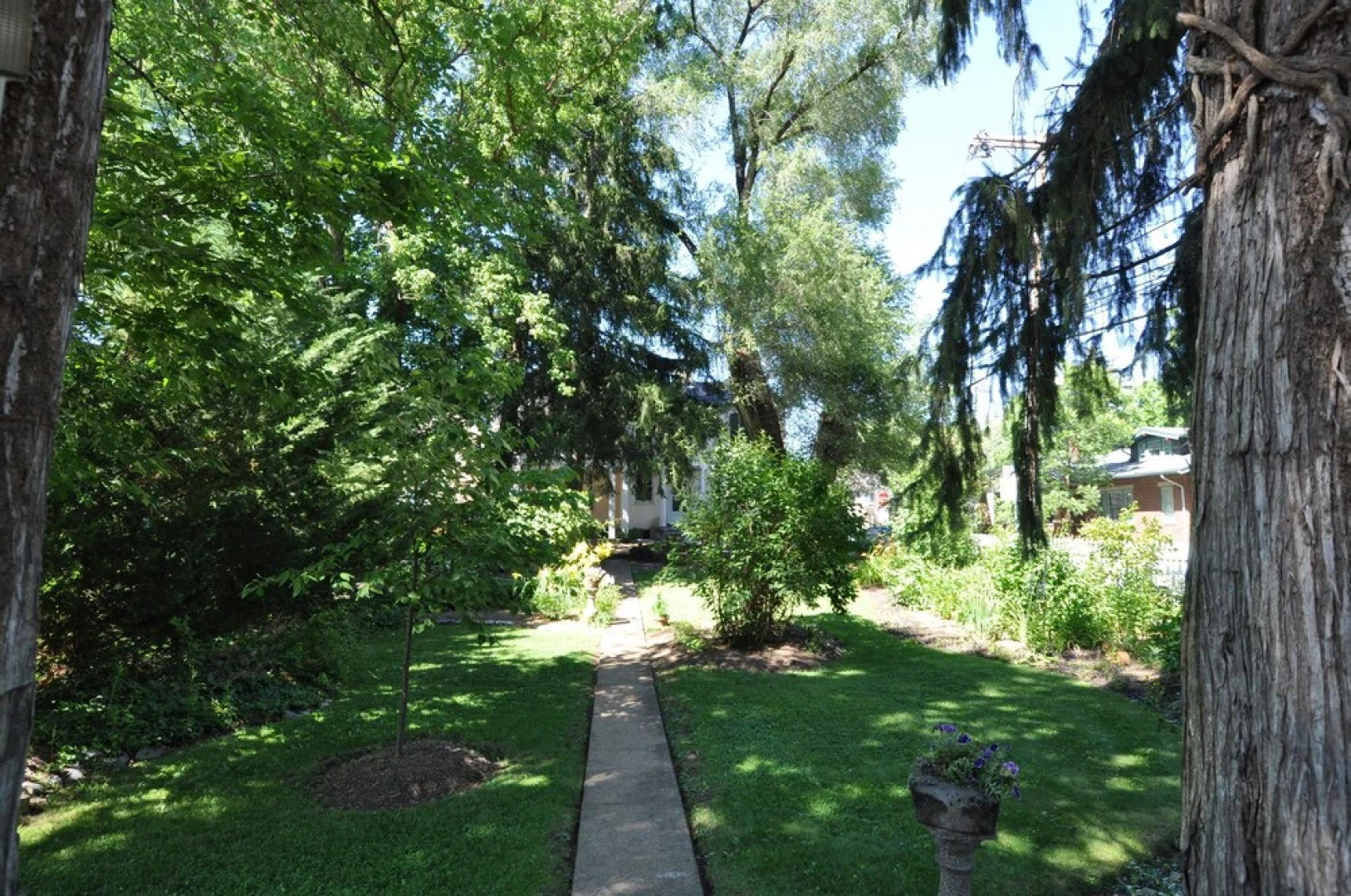 Thomas Shepherd Inn