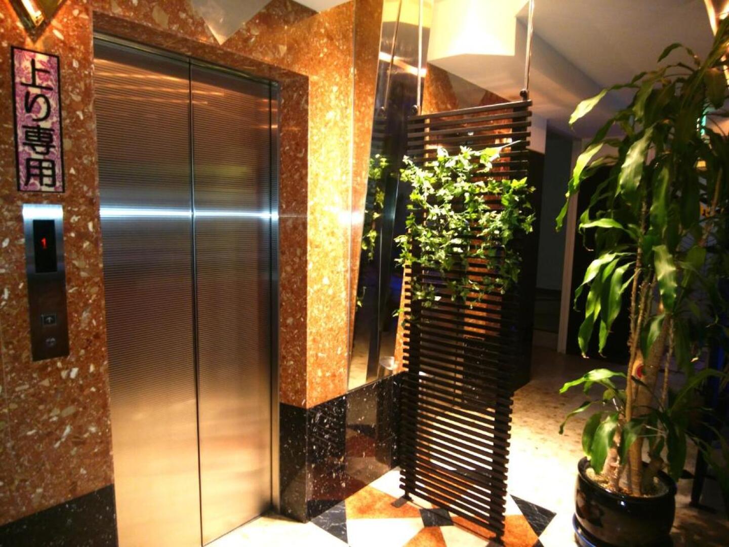 LA.FESTA - Adults Only