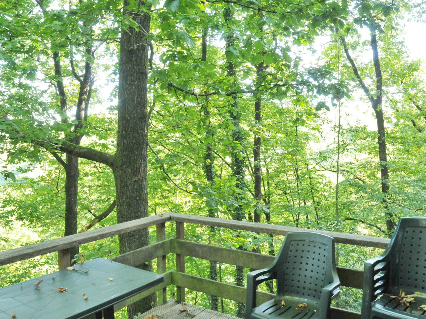 Nicely Furnished Bungalow with Fireplace near Maas