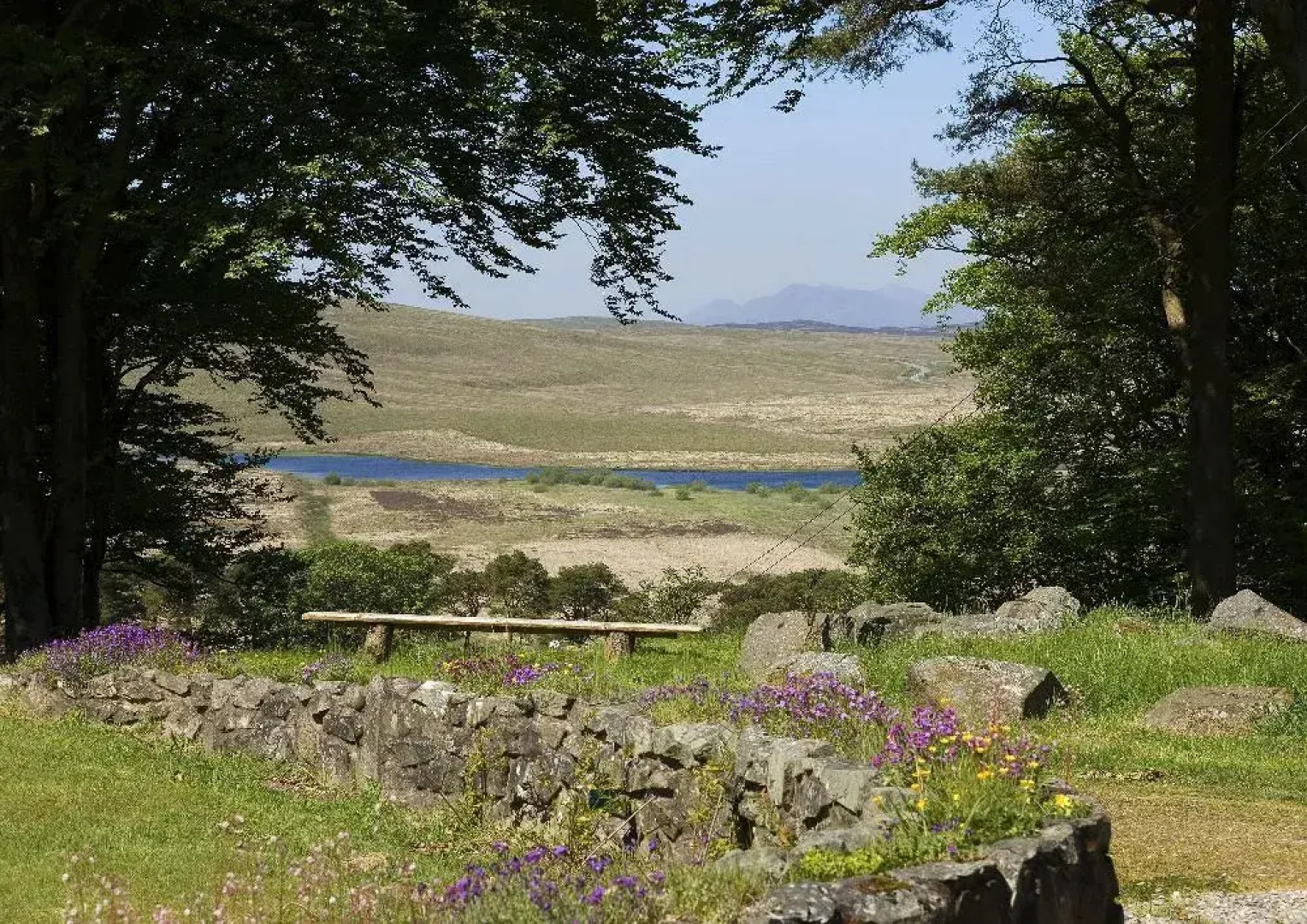 Hafod Elwy Hall - Farm