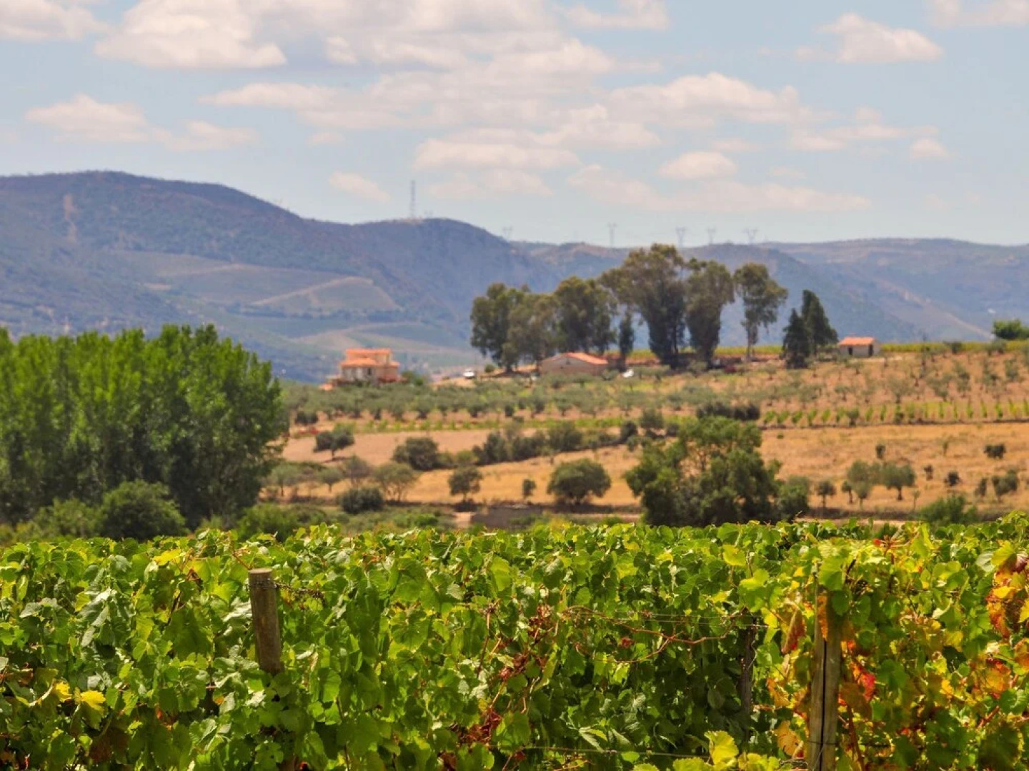 Semi-detached Holiday Home on an Estate With a Swimming Pool