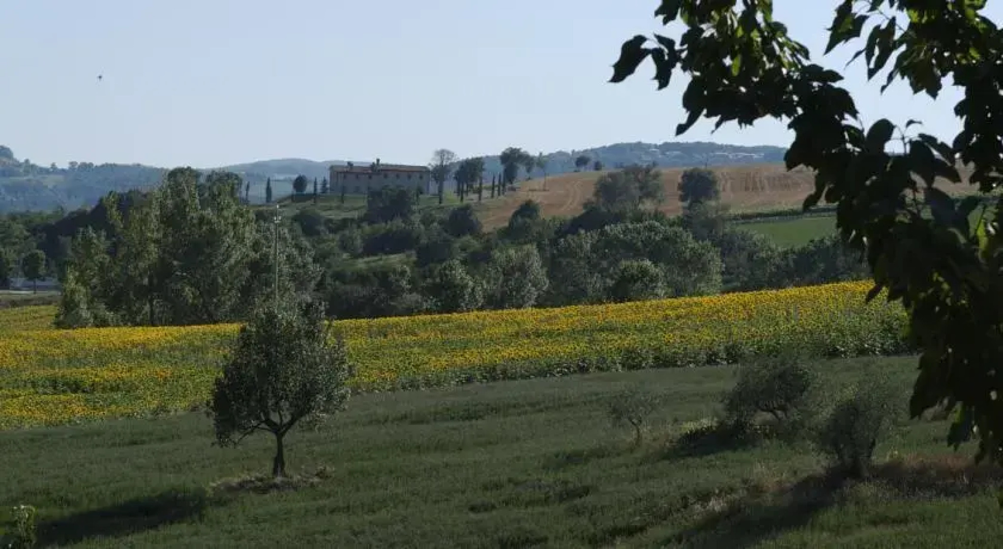 Il bello della vita B&B