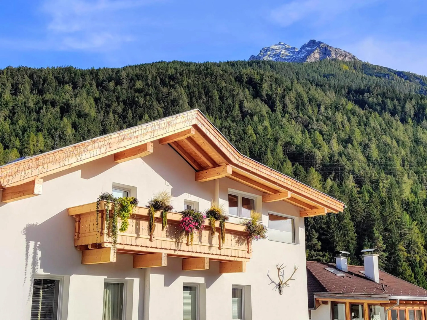 DMG - 'Funky First Floor' Unique Mountain Apartment