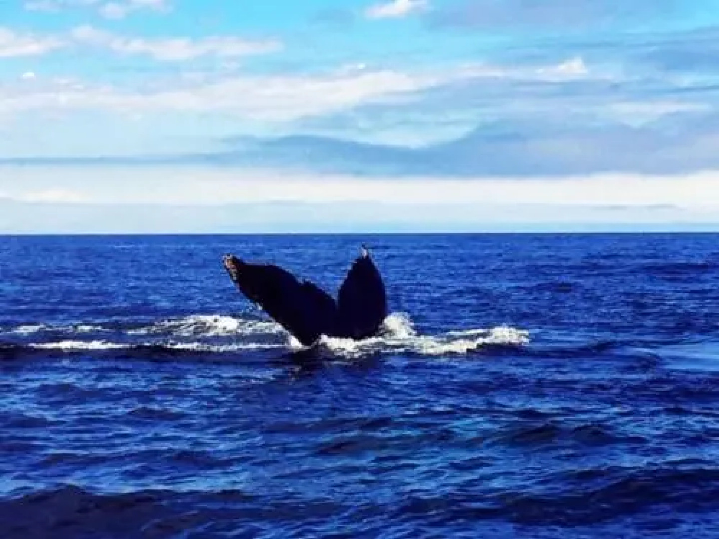 By The Sea Tourist Home