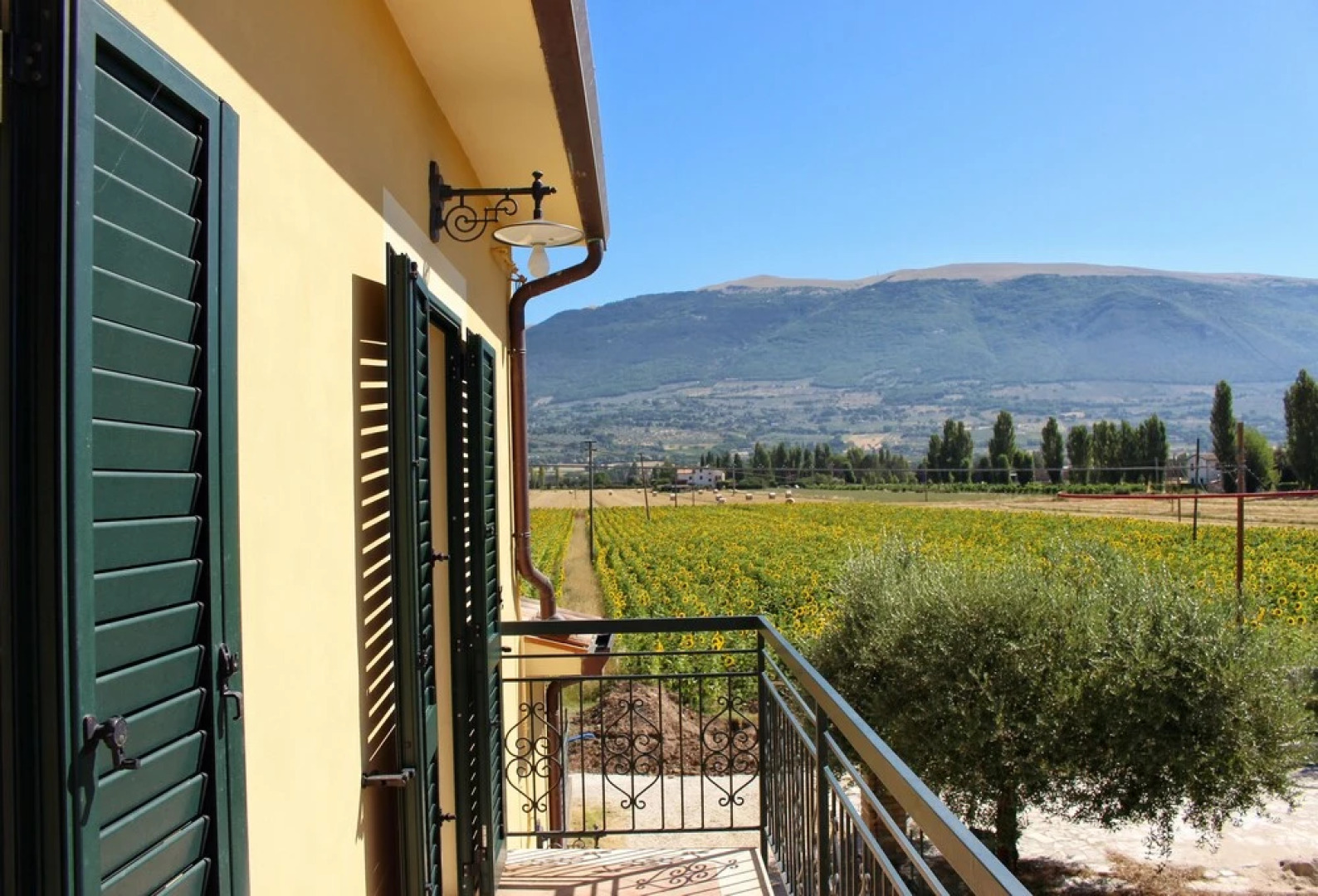 Il Podere di Francesco