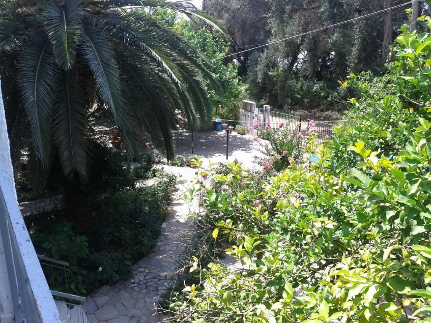 Margarita Apartments