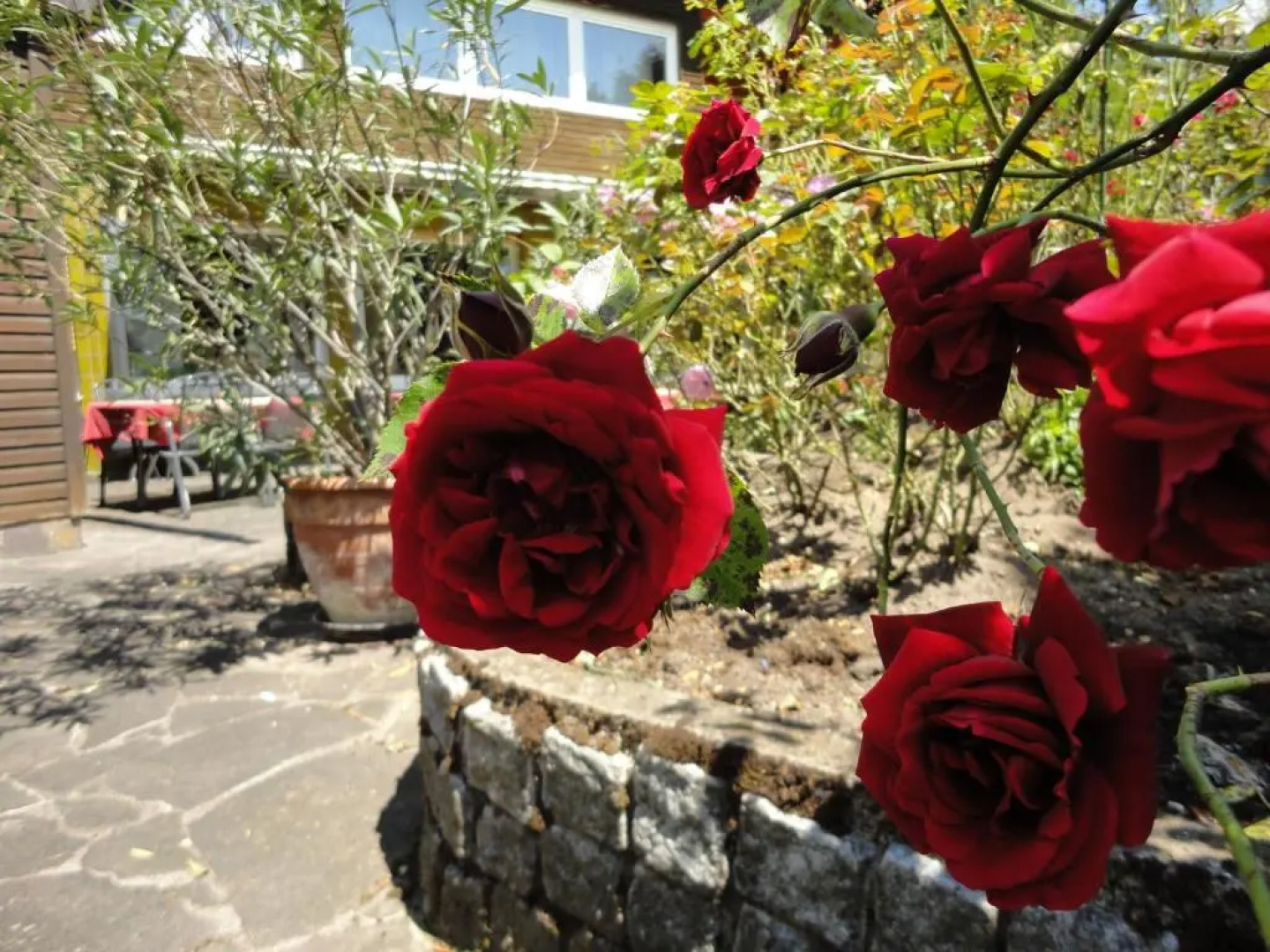 Landgasthof Hotel Hirsch