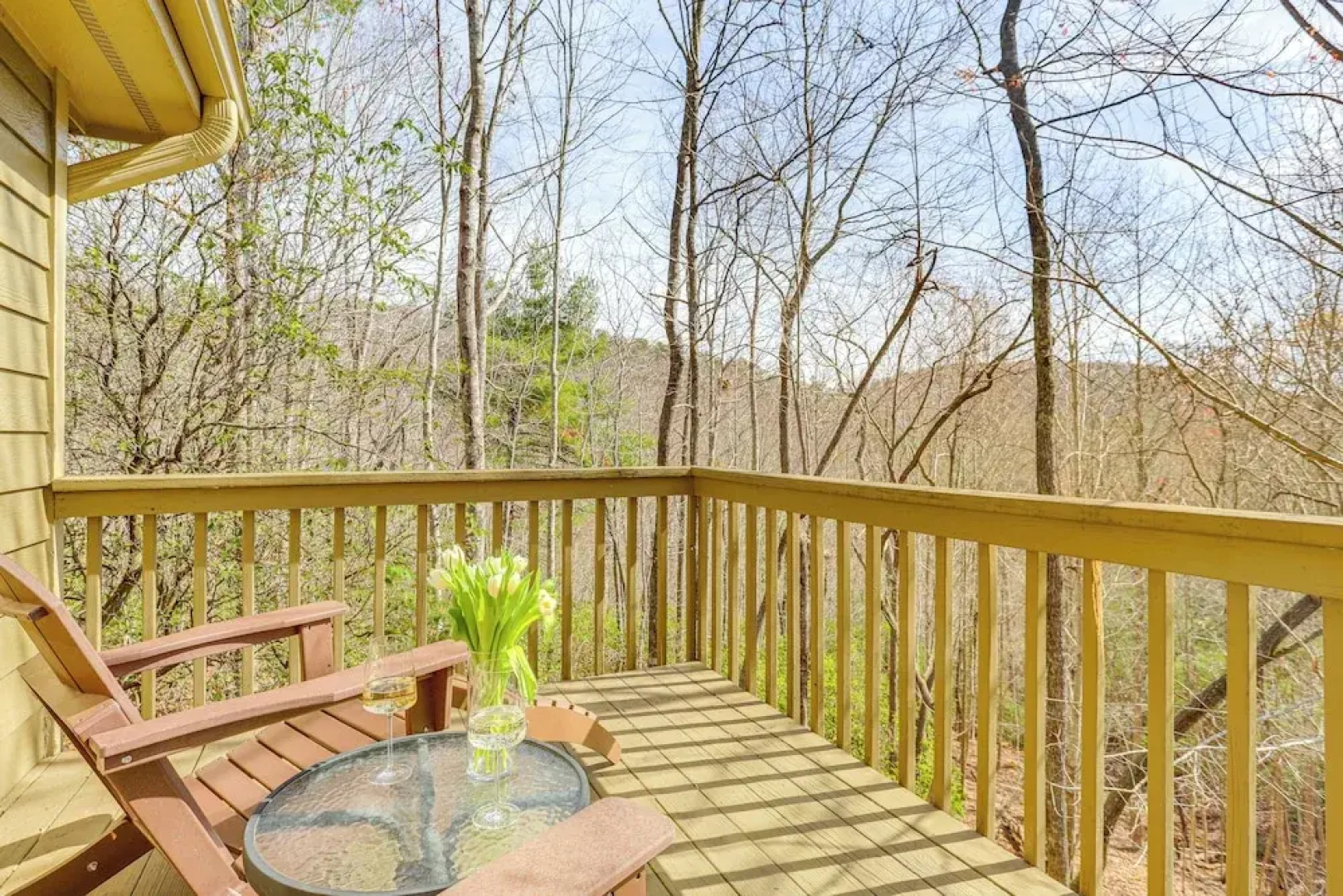 Serenity Now: Big Canoe Mountain Home!