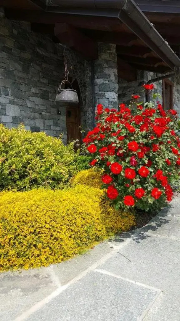 Appartamento Fleur Des Neiges