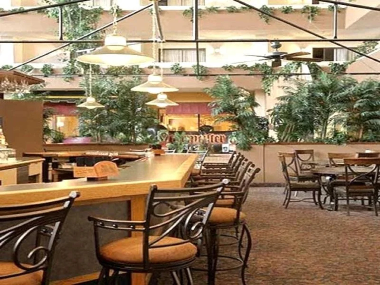 Plaza Hotel and Suites