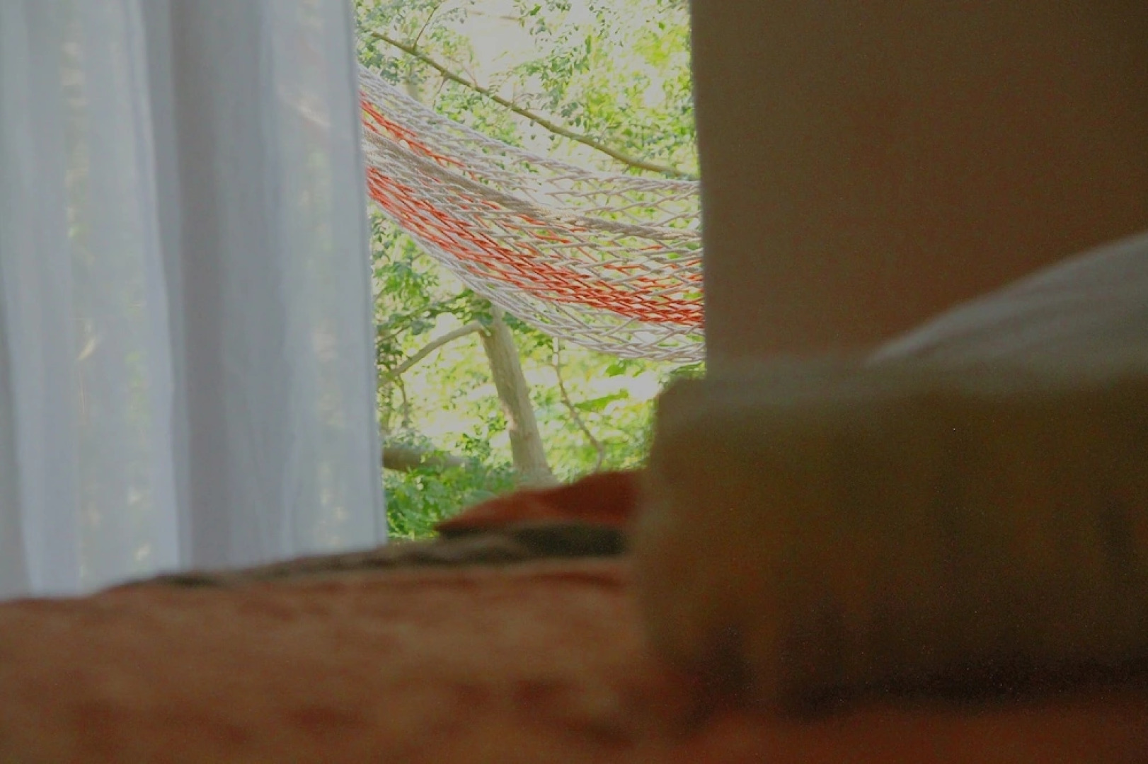 Farinha de Pau - Eco Rural Project