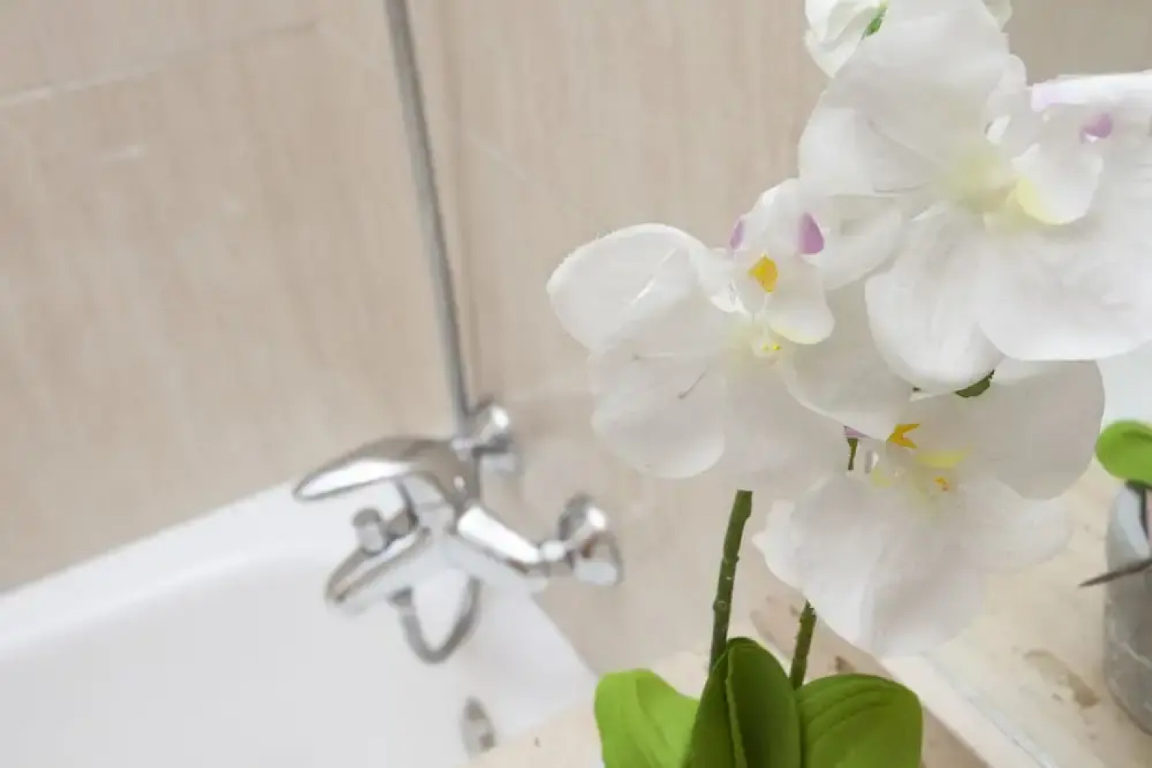 SingularStays Guillem de Castro