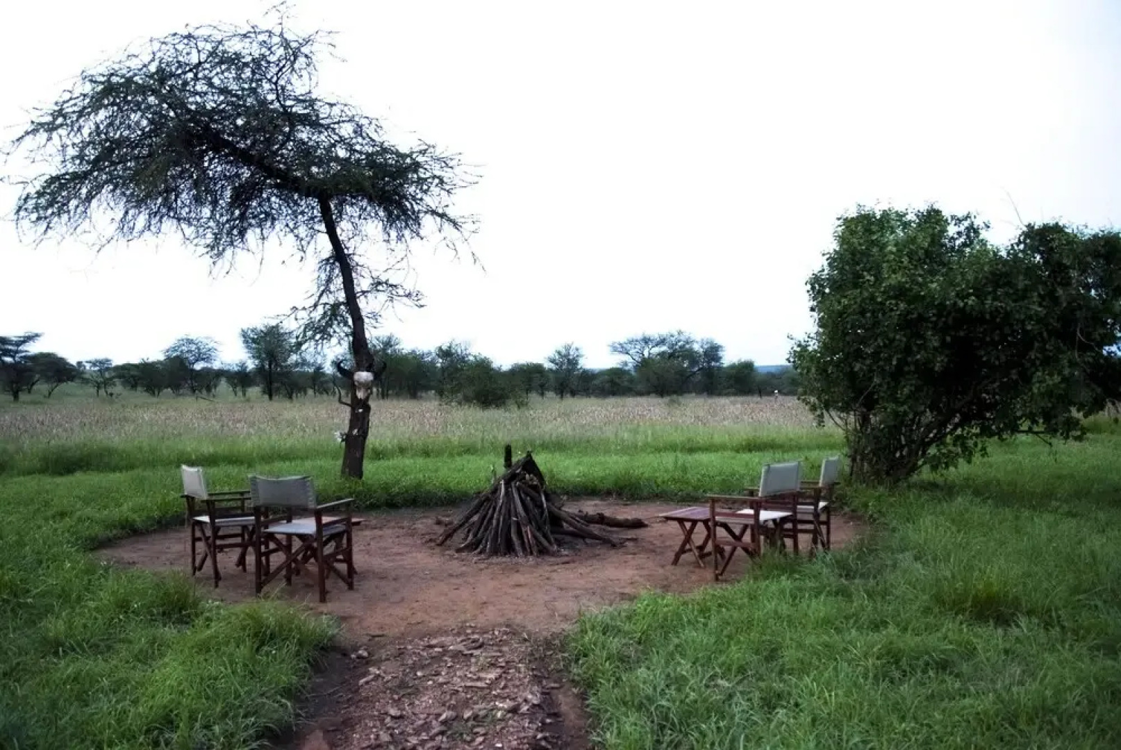 Serengeti Tortilis Camp