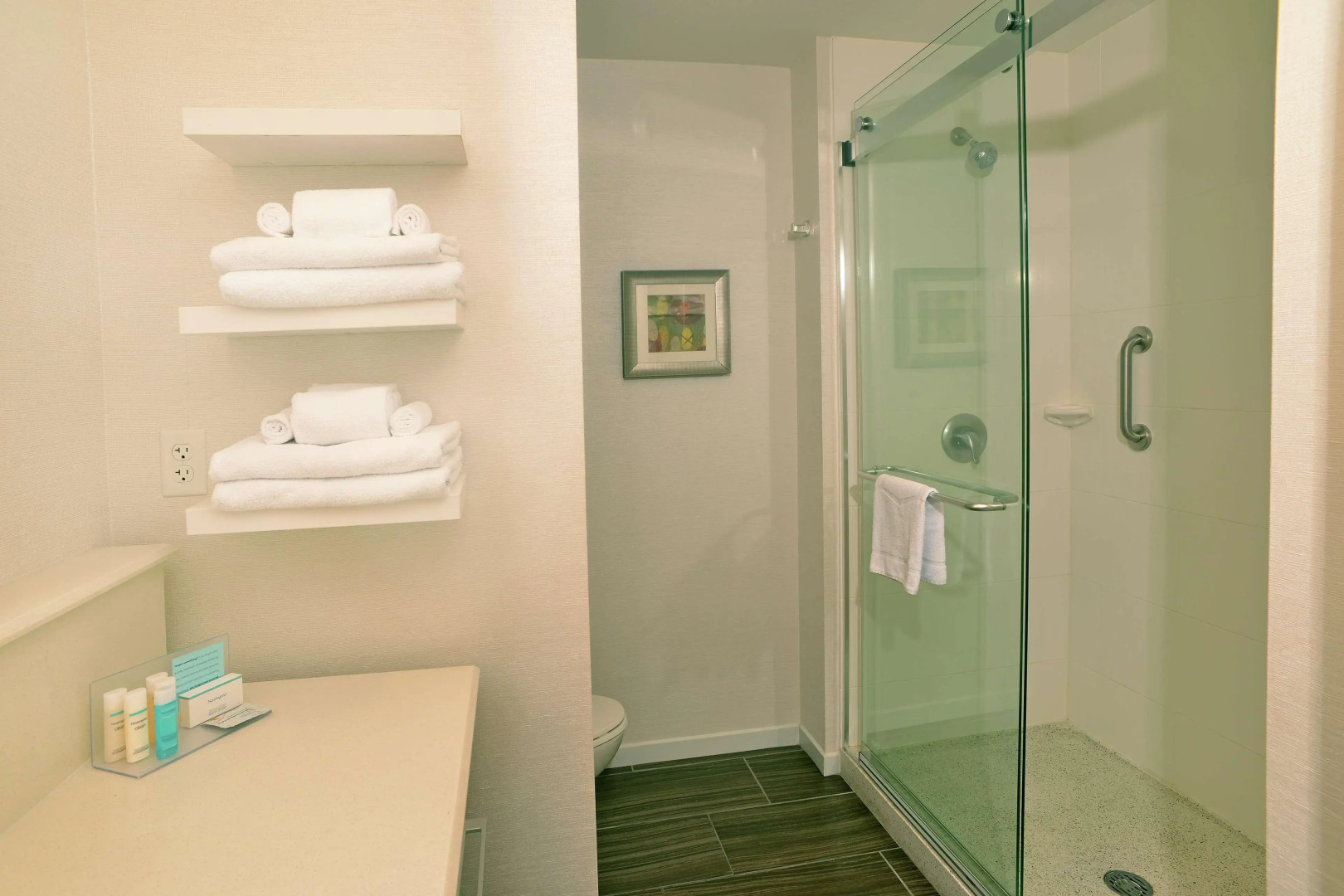 Hampton Inn Springfield-Southeast