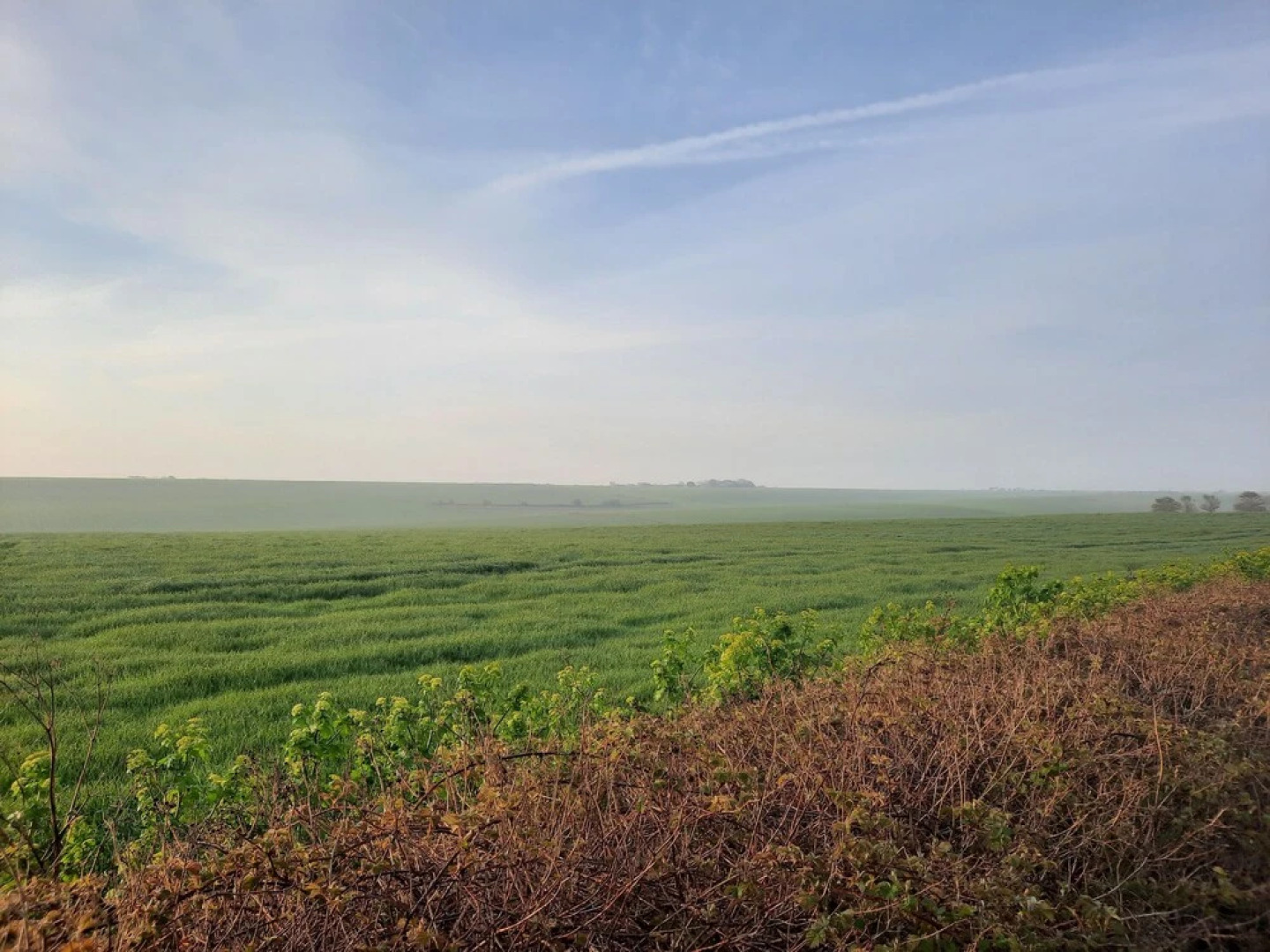 2 Bed Chalet, St Margaret's at Cliffe, South Coast