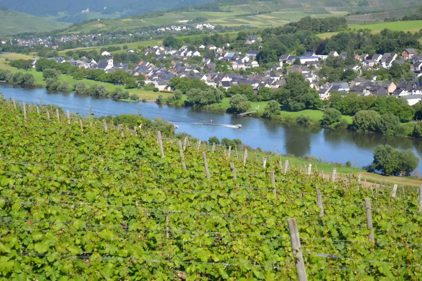 Weingut Mathy-Schanz