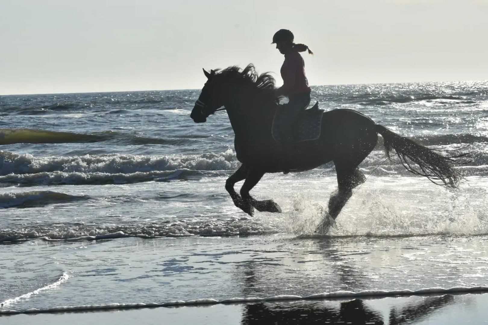 B&B Buiten Gewoon Callantsoog