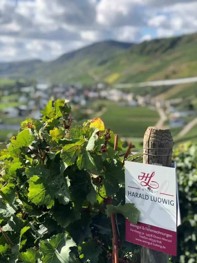 Weingut Harald Ludwig