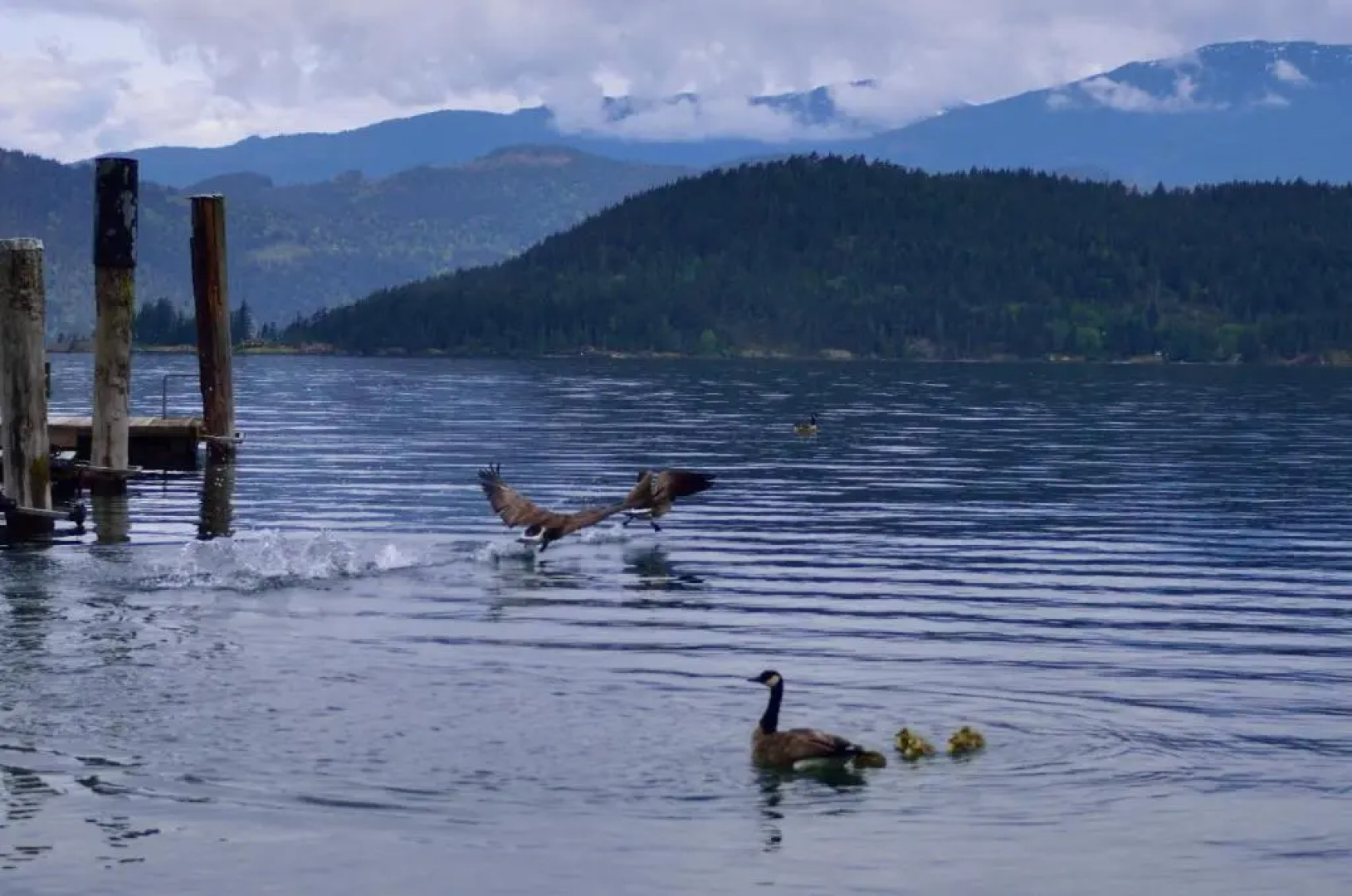 The Rockwell-Harrison Guest Lodge