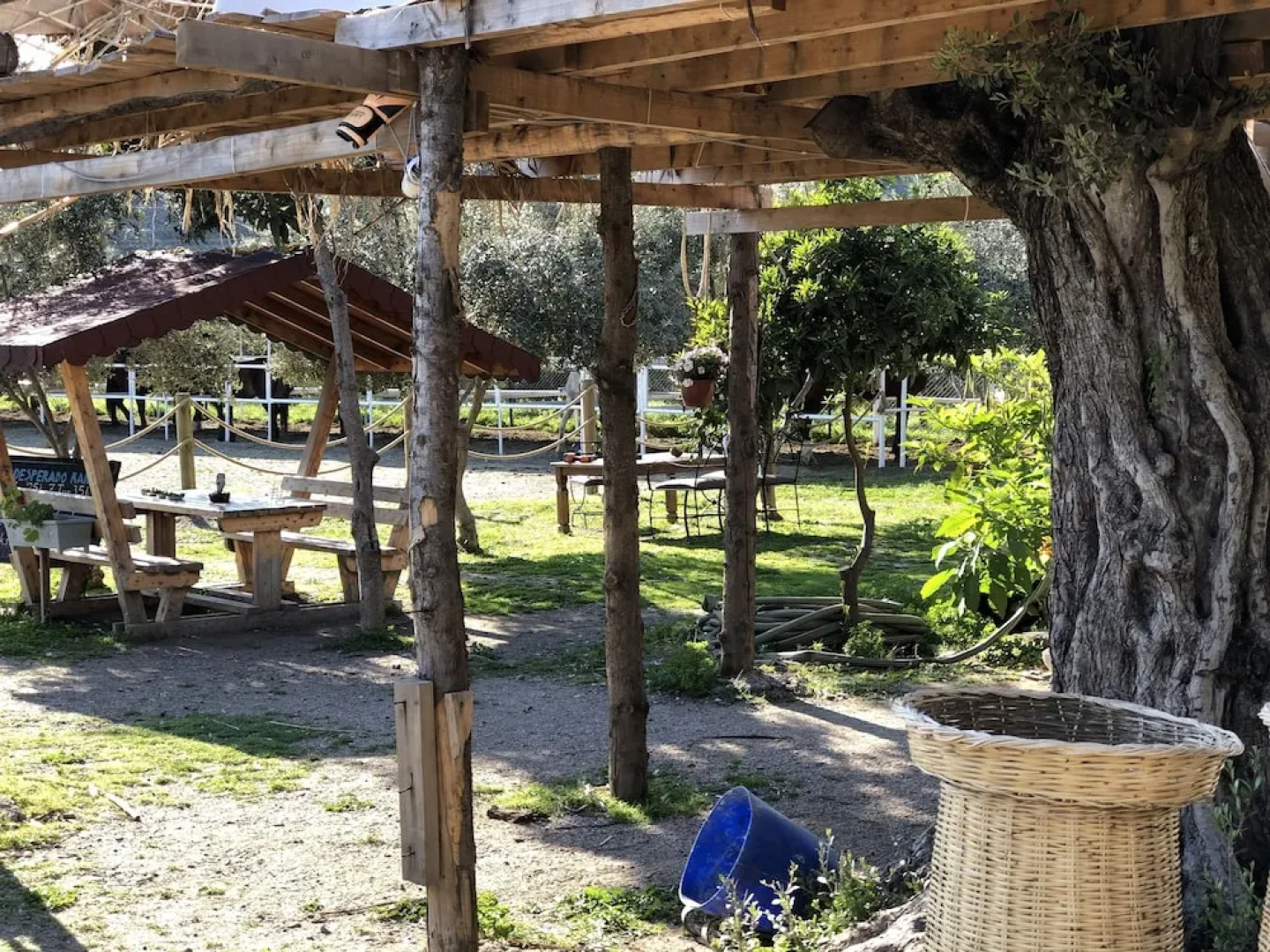 Zirkon Doga Butik Otel