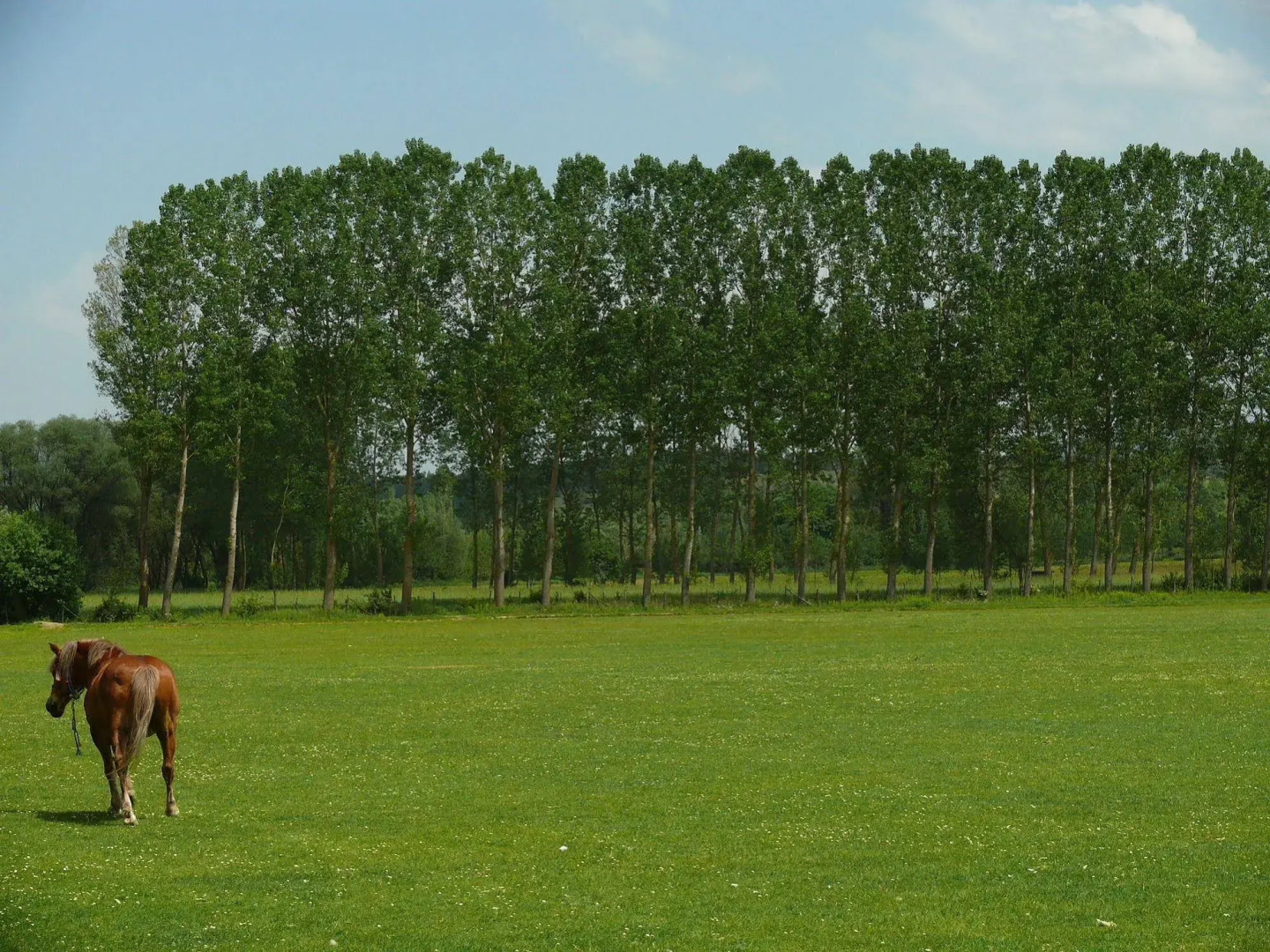 Iksir Resort Town - Special Class