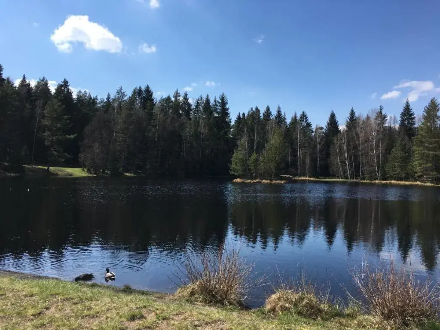 Ubytování U Ropáků