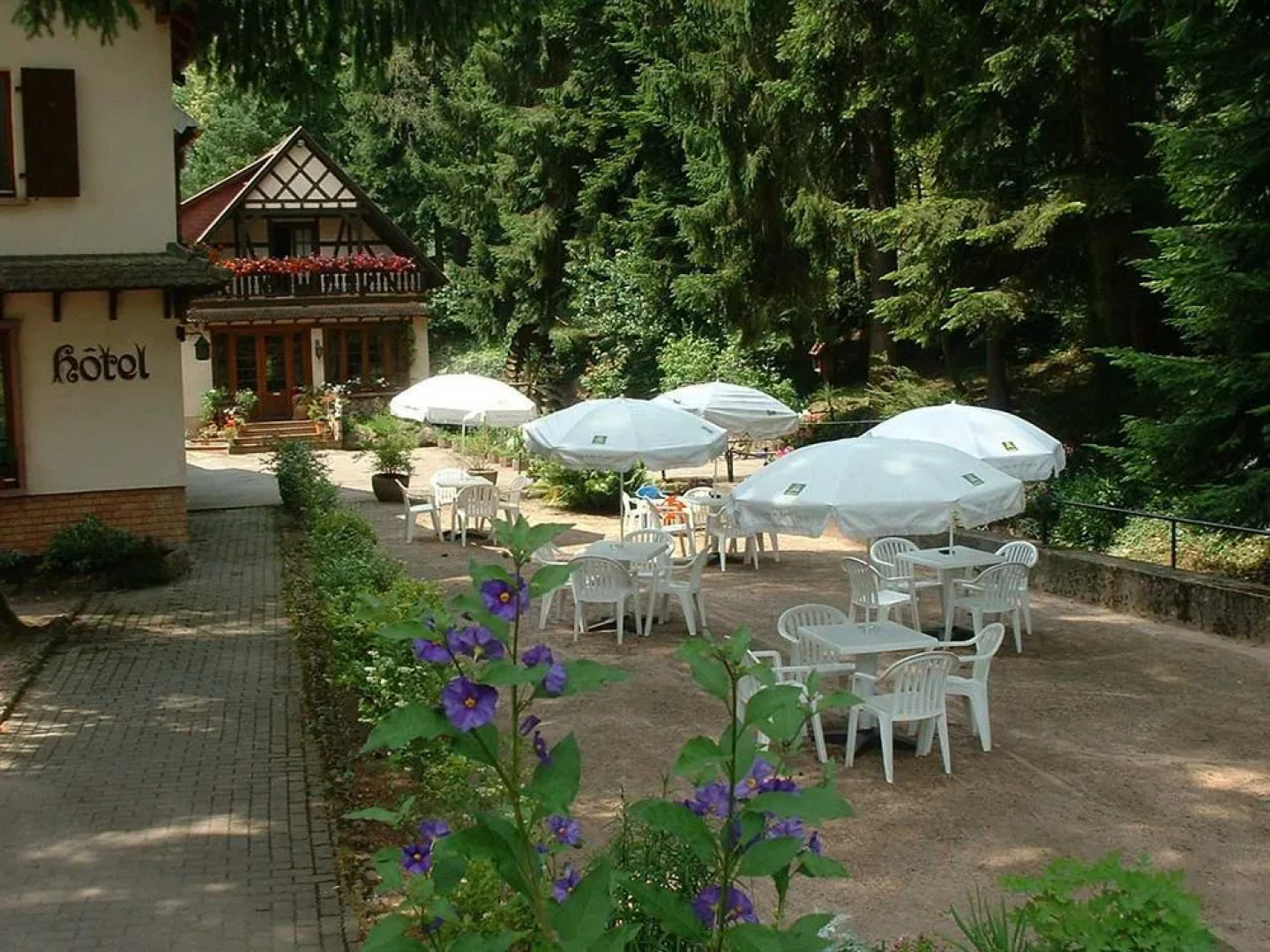 Hôtel-Restaurant Du Château DAndlau