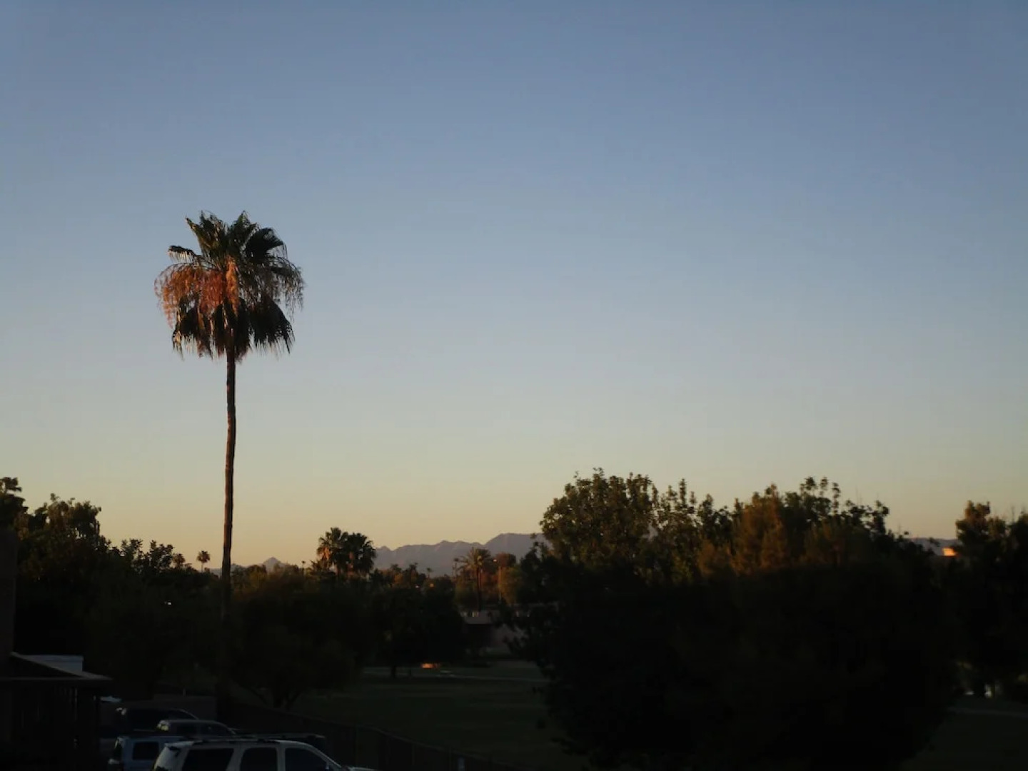 Park Suites at 135 - One Bedroom Apartment