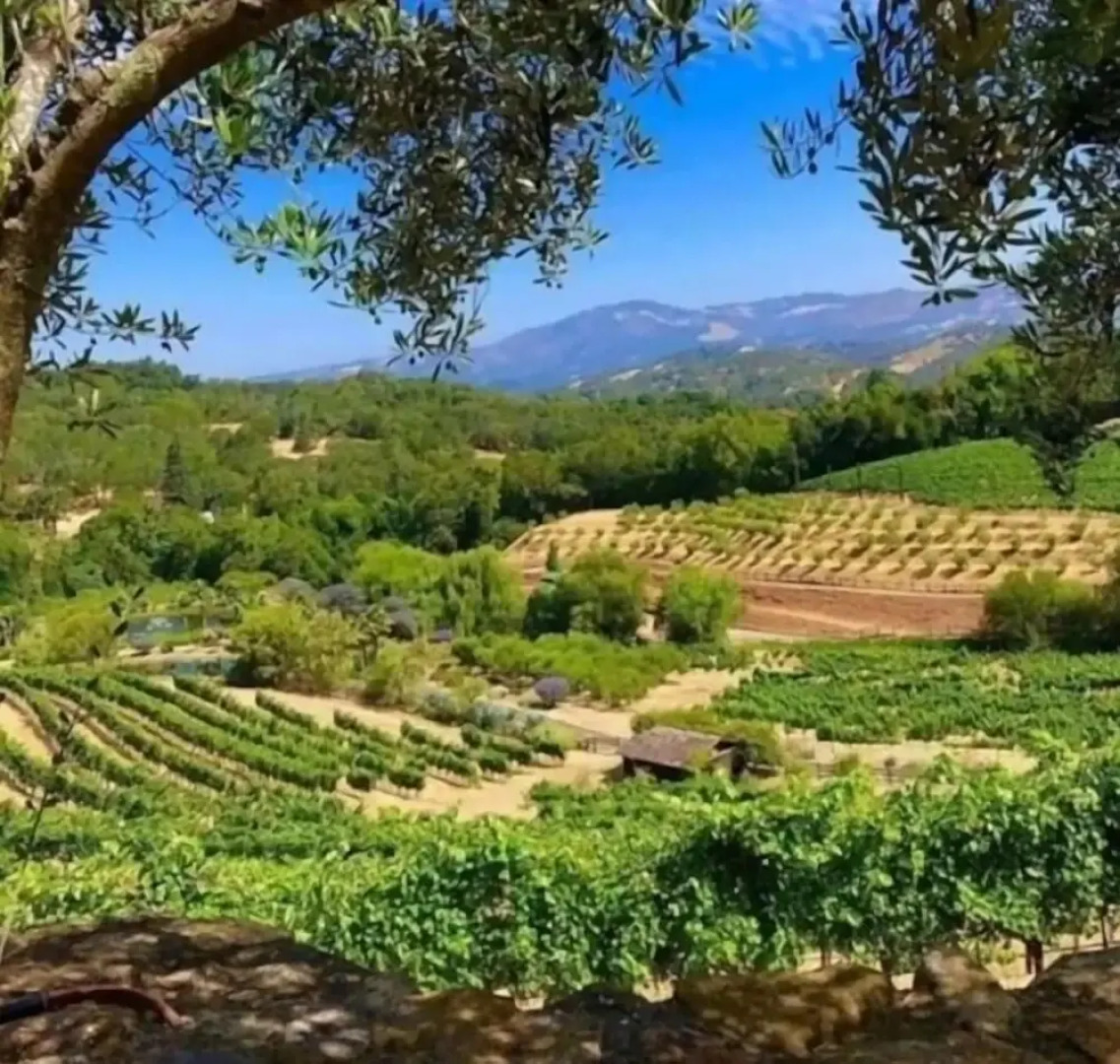 Wine Country Retreat W/ Casita, Bocce And Sunset Views! 3 Bedroom Home by RedAwning