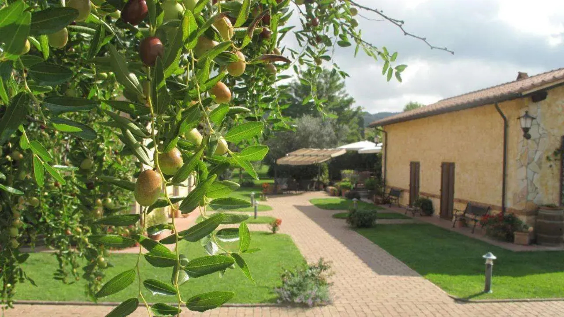 Agriturismo Podere Turicchio